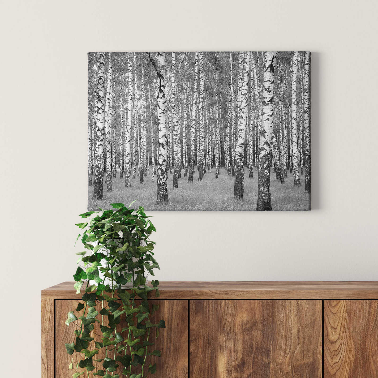             Pittura su tela della foresta di betulle in bianco e nero - 0,70 m x 0,50 m
        