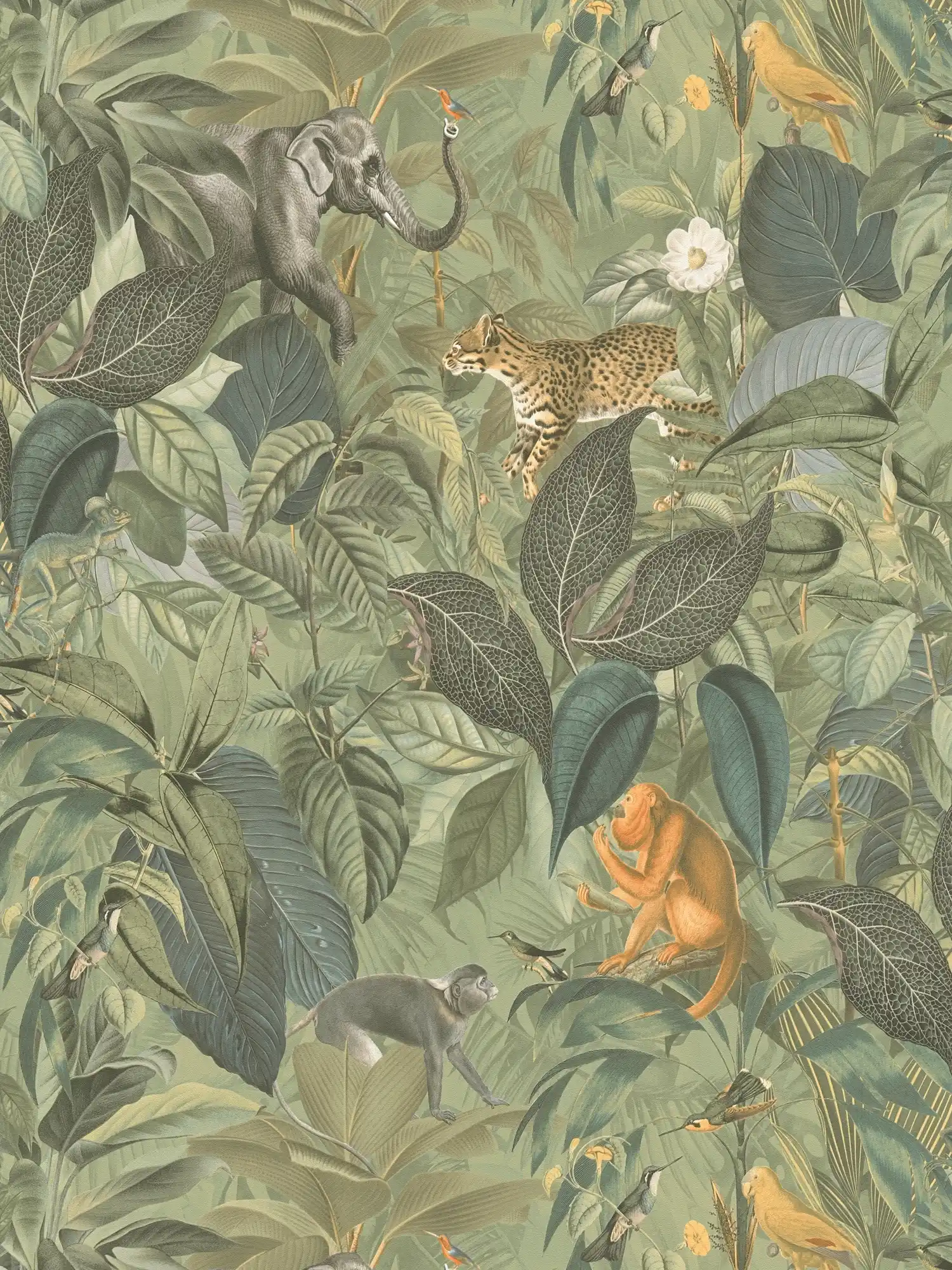 Papier peint jungle avec animaux, motif enfant - gris, vert
