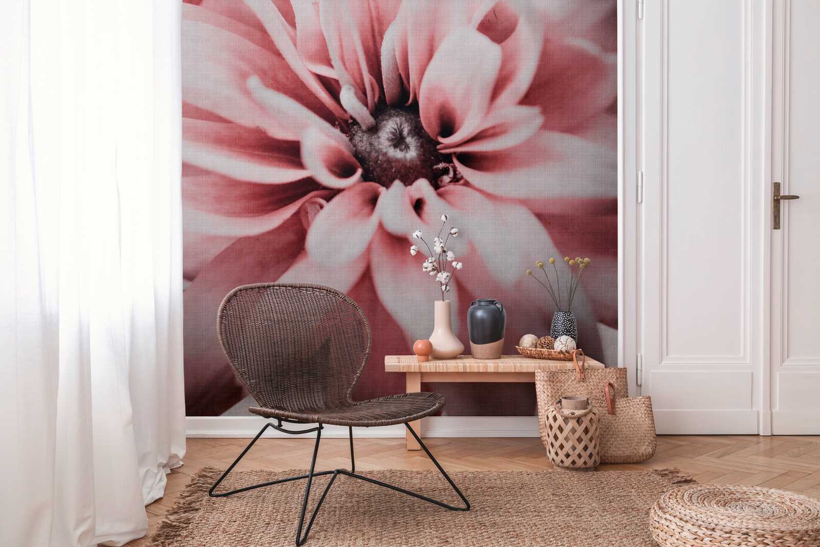             Wallpaper novelty | motif wallpaper flowers, XXL daisies delicate pink
        
