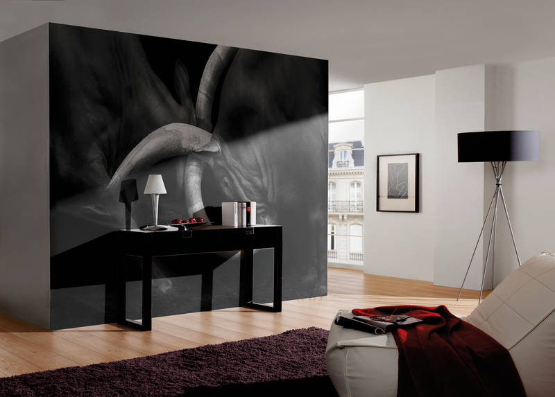             Papier peint panoramique Corrida - gros plan noir et blanc
        