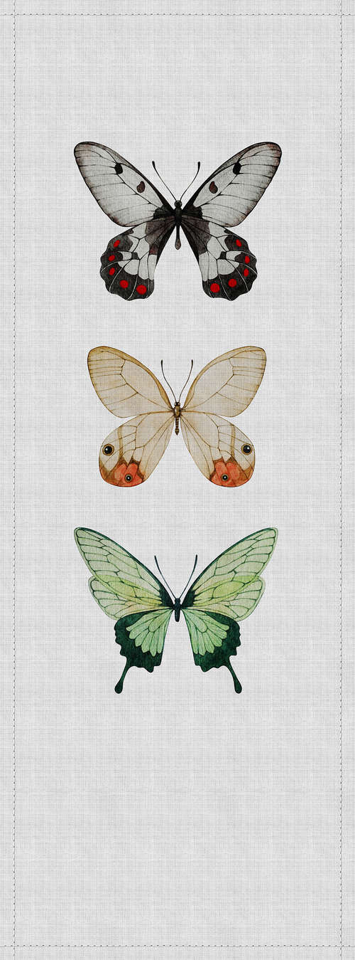             Buzz panels 2 - photo wallpaper panel in natural linen structure with colourful butterflies - Grey, Green | Matt smooth fleece
        