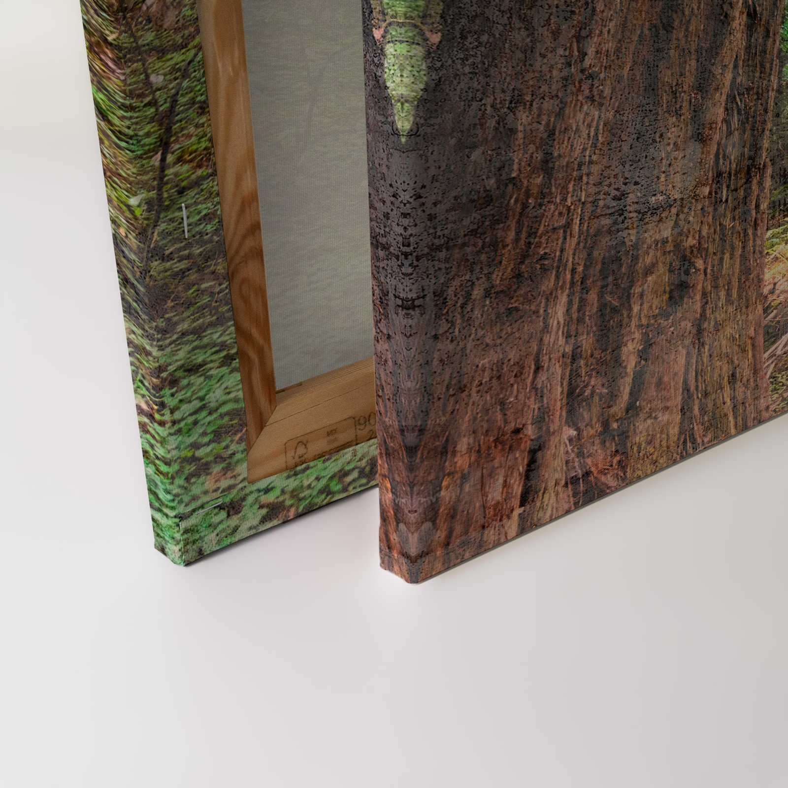             Tela con scale di legno attraverso la foresta | marrone, verde, blu - 0,90 m x 0,60 m
        