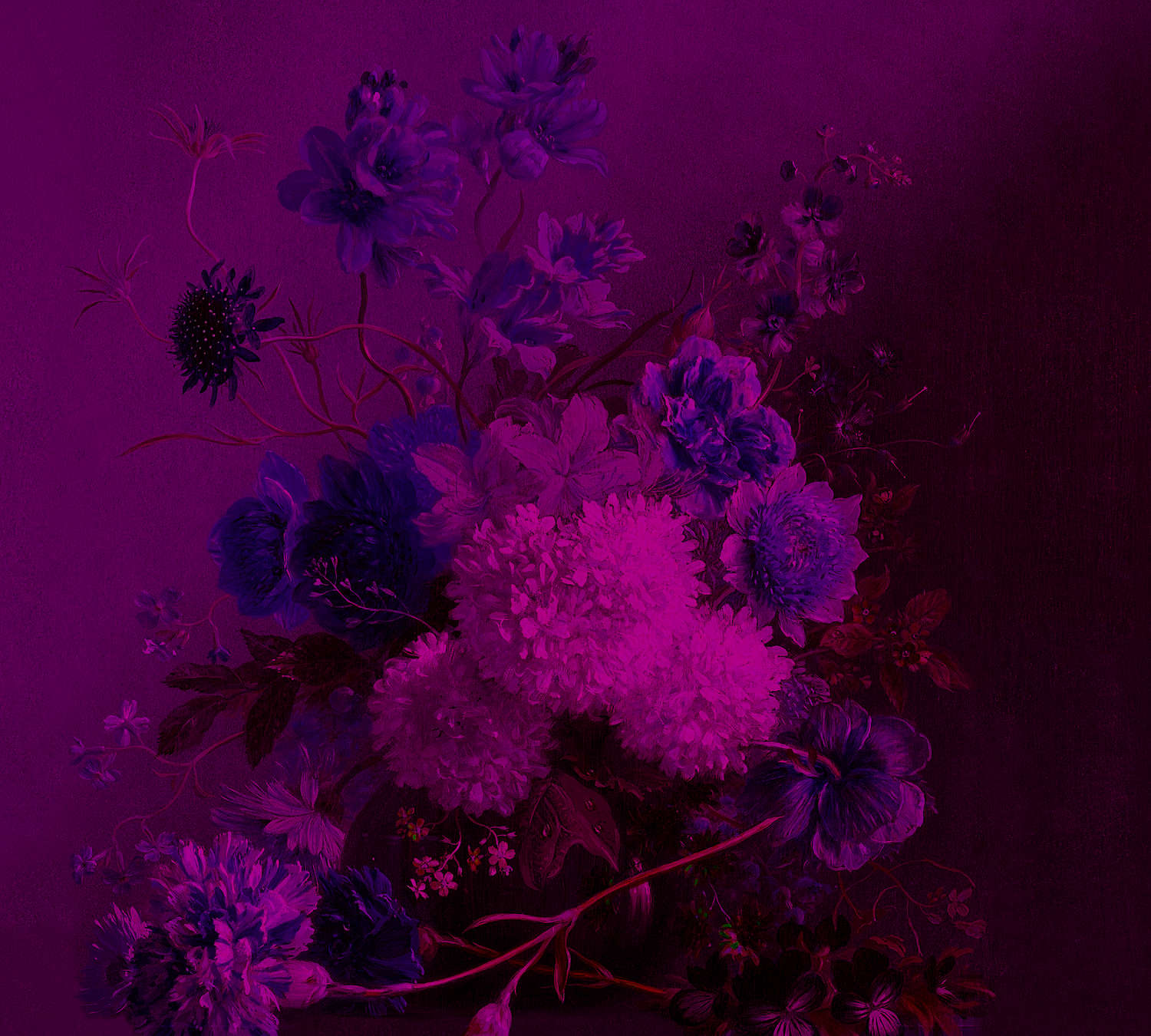             Neon mural with flowers still life - purple, pink
        