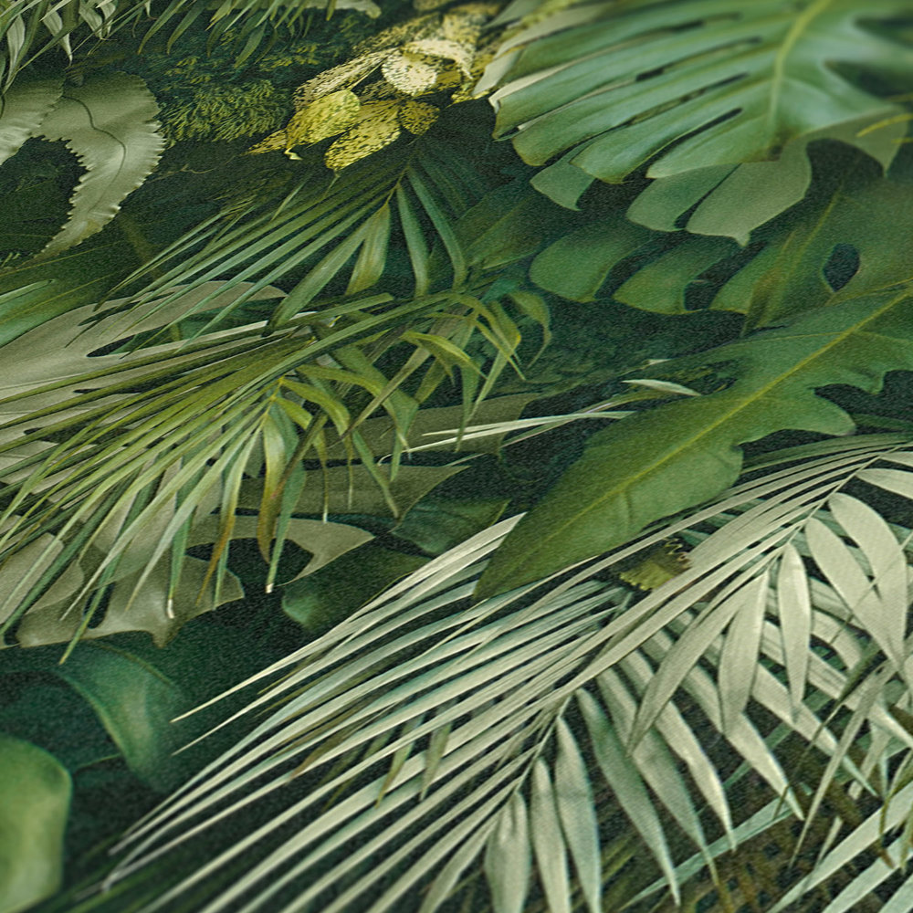             Behang groen blad bos, realistisch, kleuraccenten - groen
        