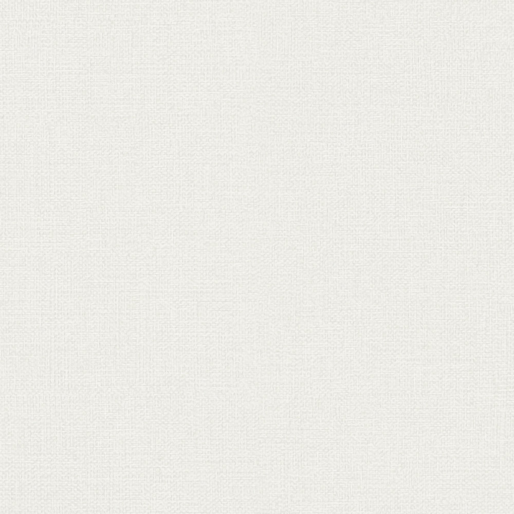             Plain wallpaper with a light textured look - cream, light grey
        