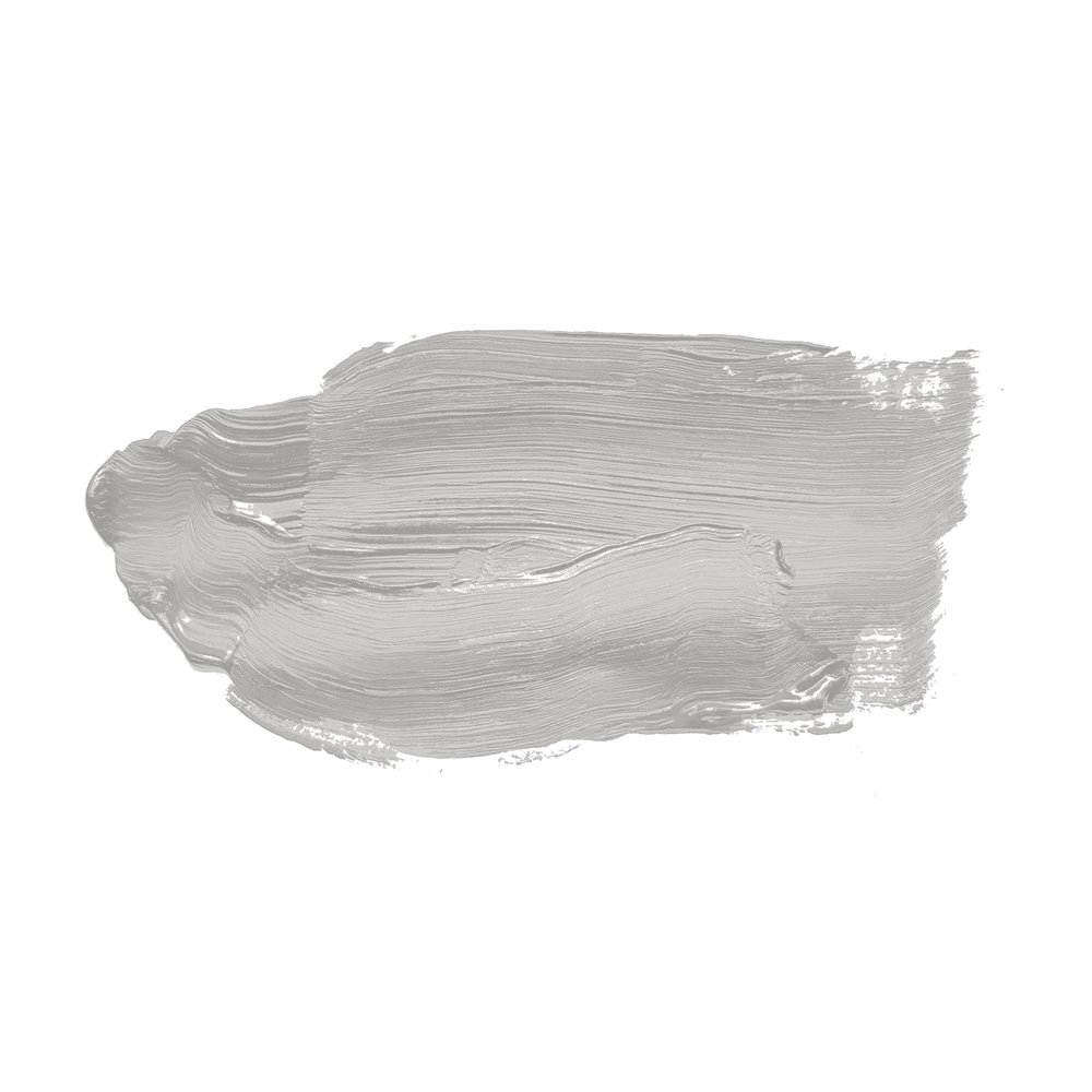             Pintura mural TCK1009 »Sprat Fish« en gris plata liso – 2,5 litro
        