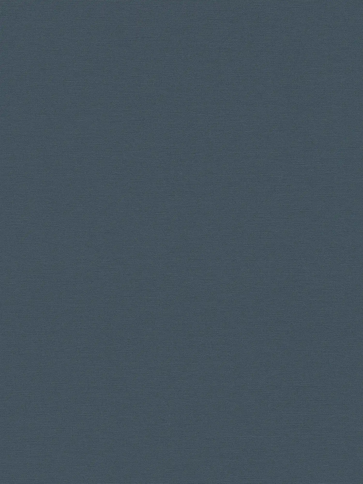 Dark plain with light structure - Blue
