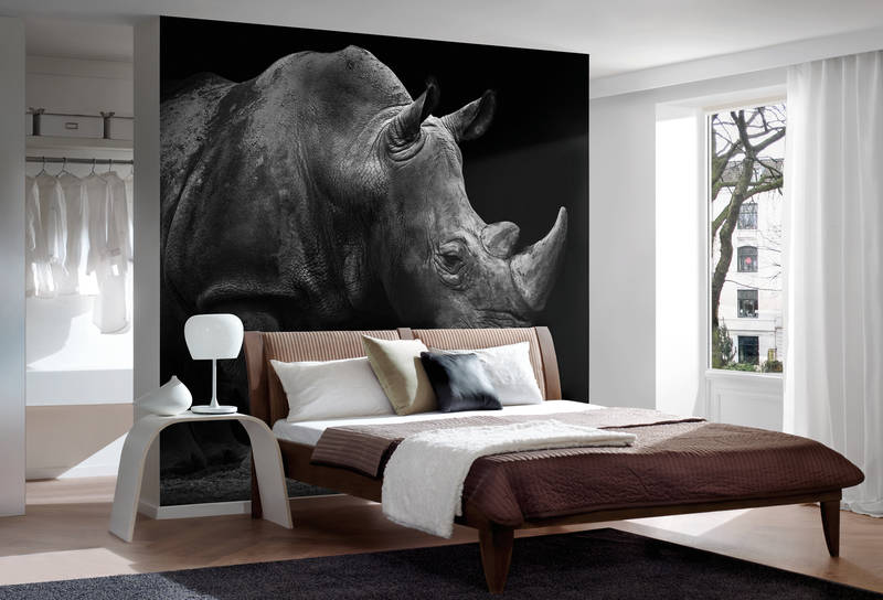             Photo wallpaper rhino against black background
        