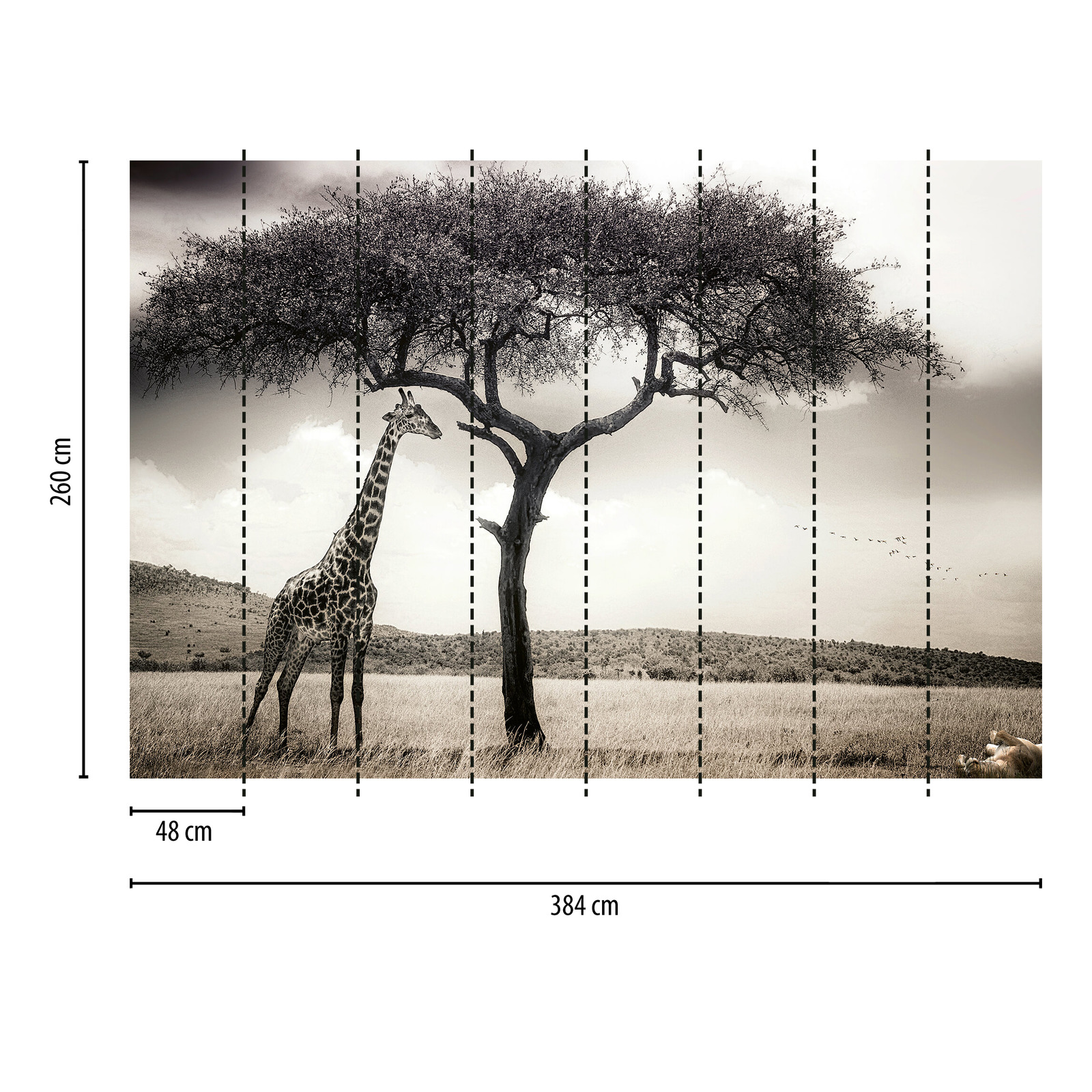             Photo wallpaper safari animal giraffe - grey, white, black
        