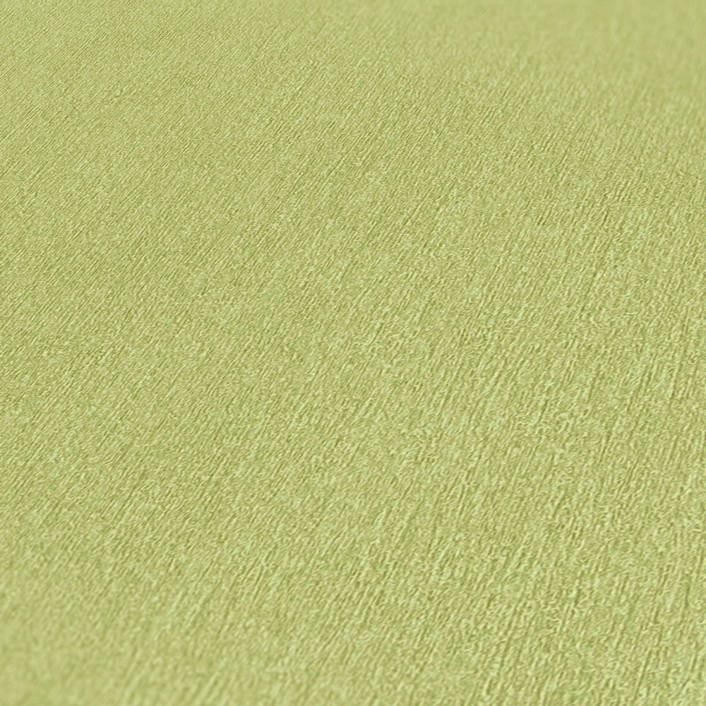             Papier peint vert clair uni vert citron avec hachures de couleur
        