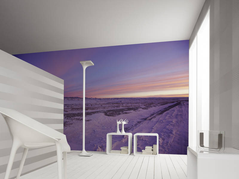             Schemering met paarse lucht muurschildering
        