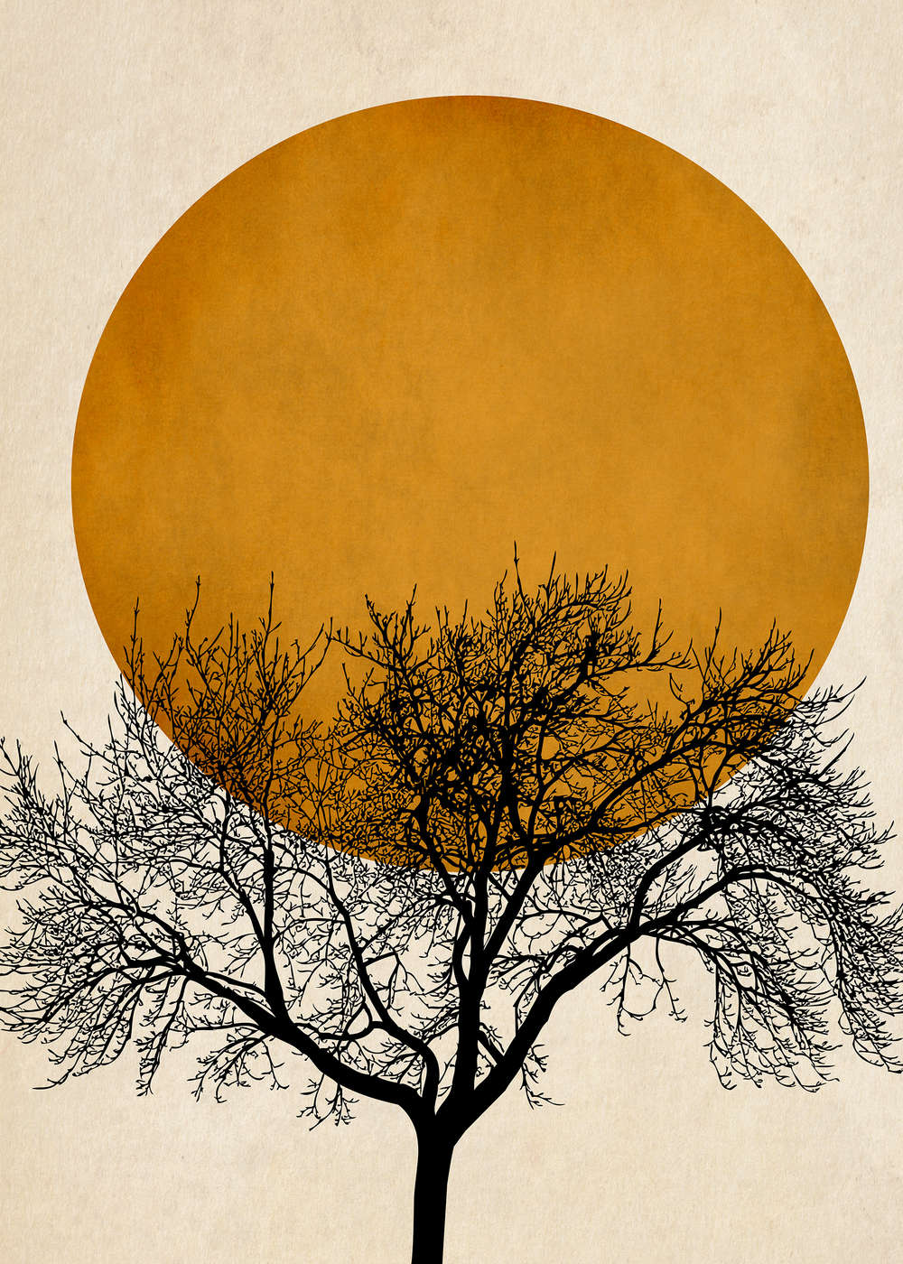             Photo wallpaper tree crown shadow cut with gold sun
        