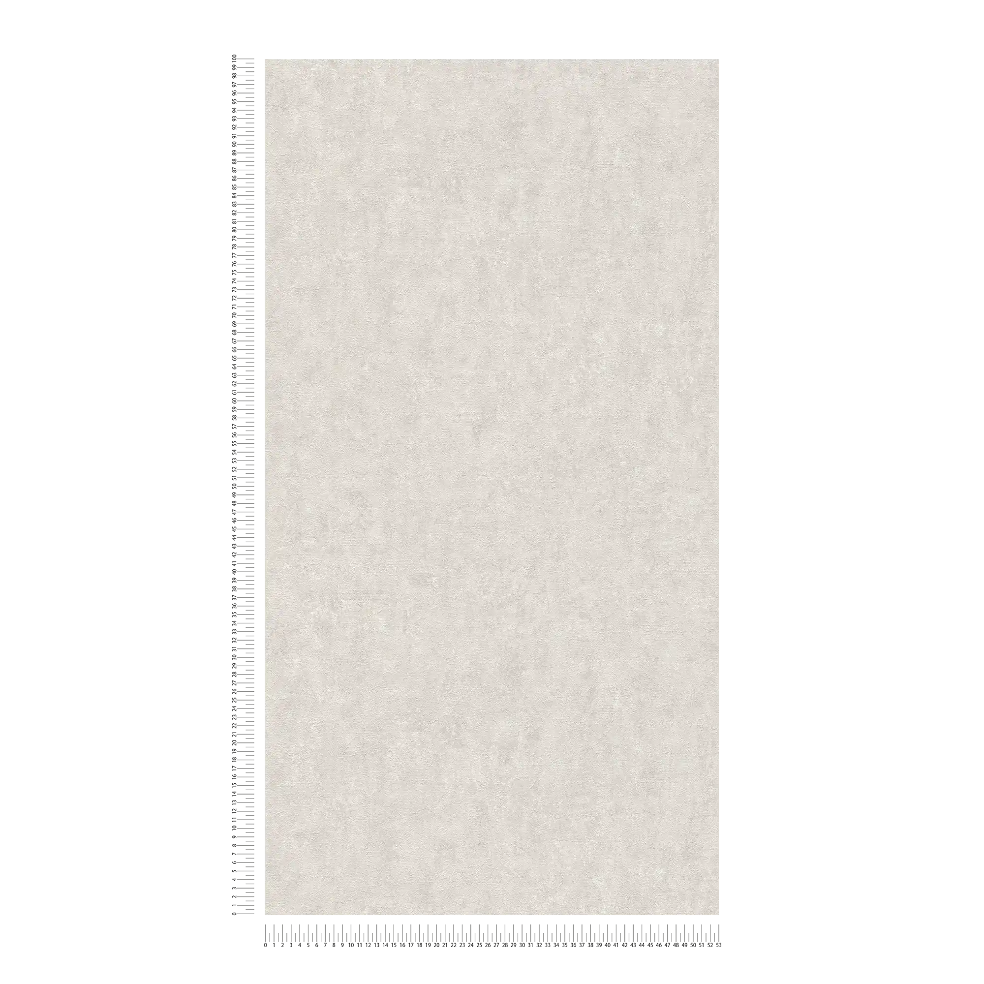             Carta da parati in gesso ottico con effetto struttura in grigio chiaro
        