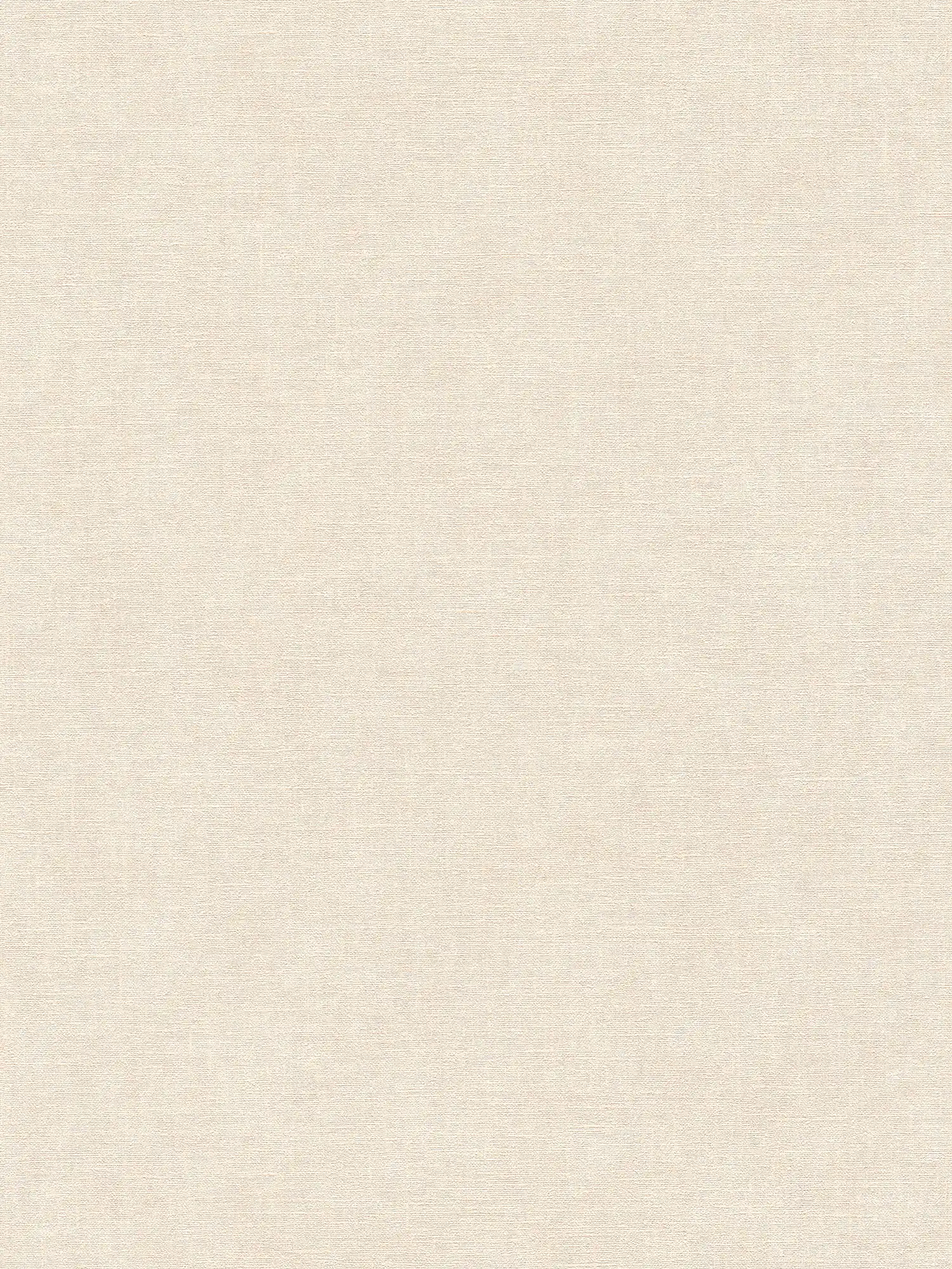 Effen vliesbehang in pleisterlook met lichte textuur - beige, crème
