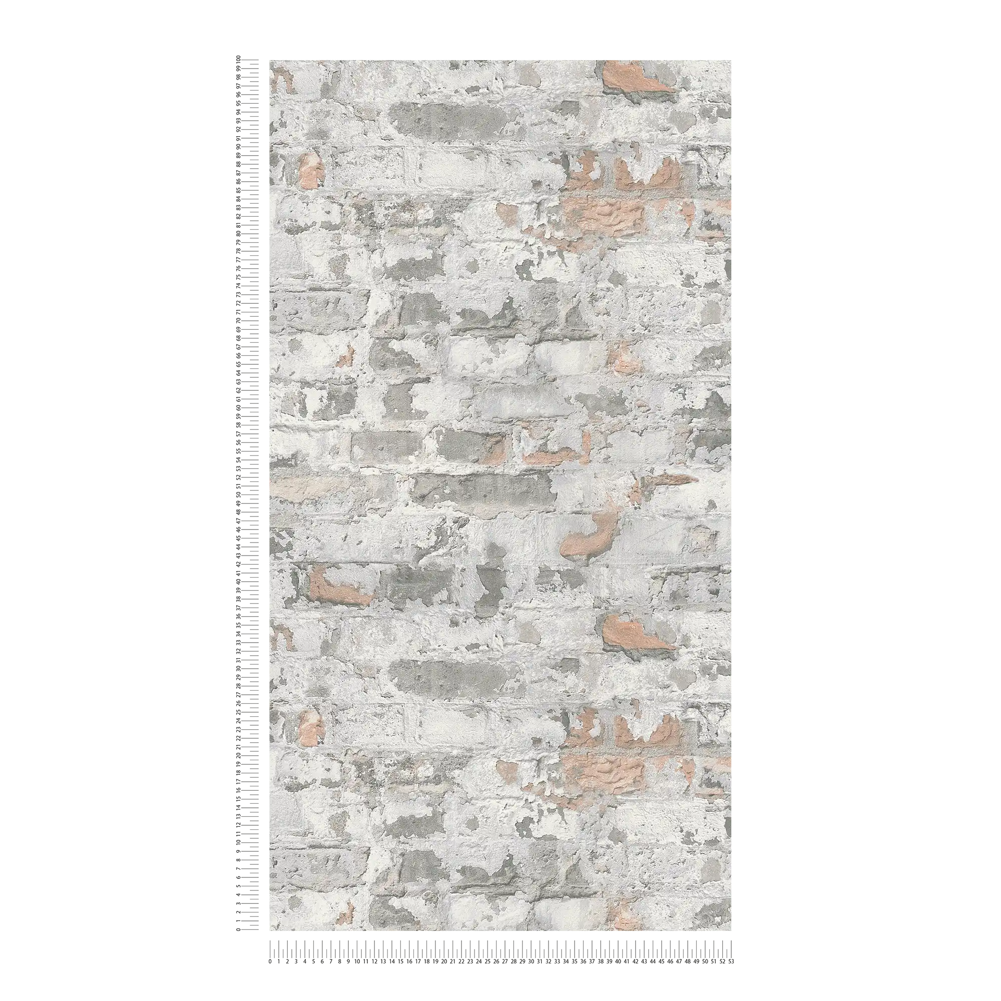             Carta da parati rustica con mattoni nel design usato - grigio, bianco
        