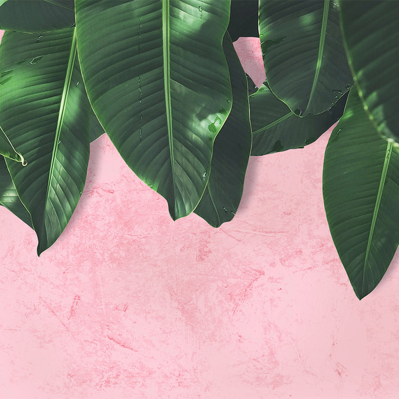         Photo wallpaper tropical leaves wall - pink, green
    