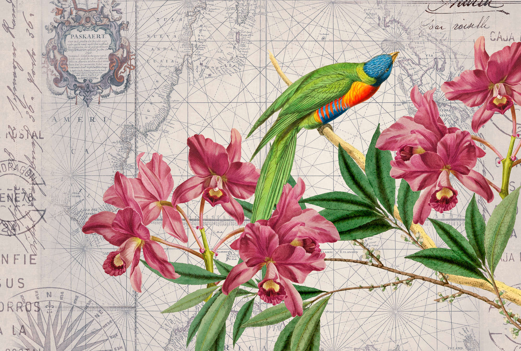             Carta da parati con effetto mappa vintage, pappagallo e fiori
        