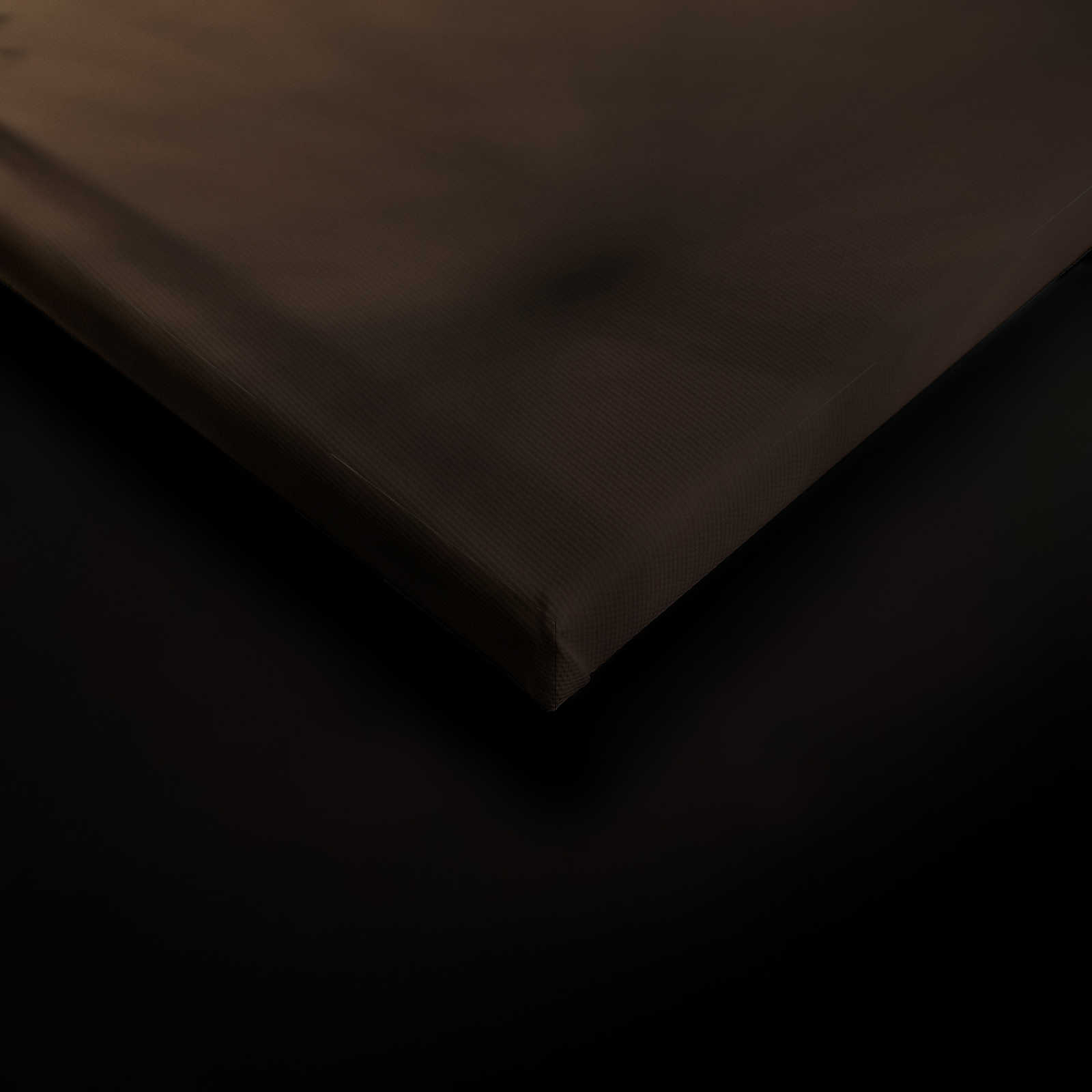             Toile avec pissenlit volant au coucher du soleil - 0,90 m x 0,60 m
        