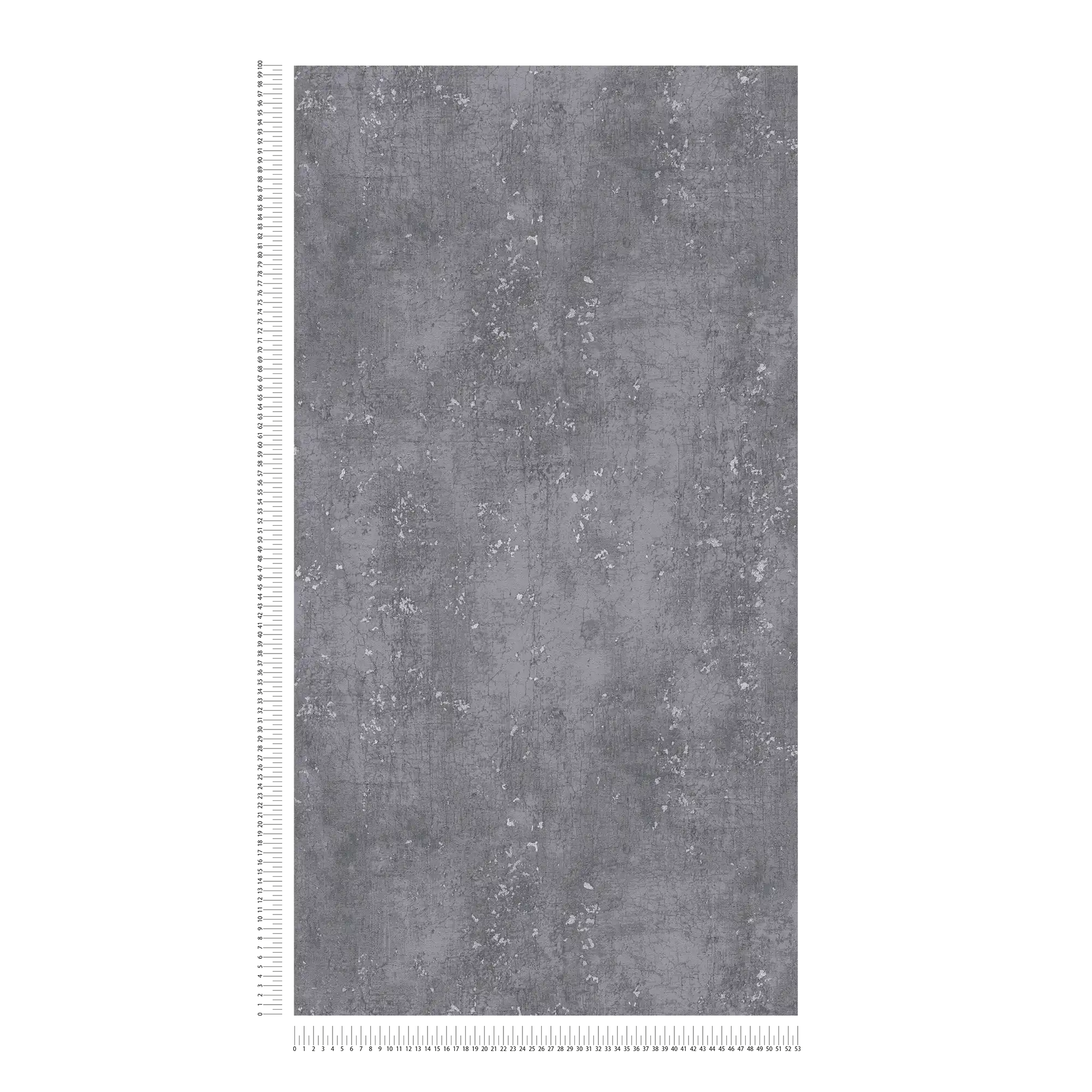             Carta da parati grigio scuro con effetto intonaco Udes - grigio, metallizzato
        