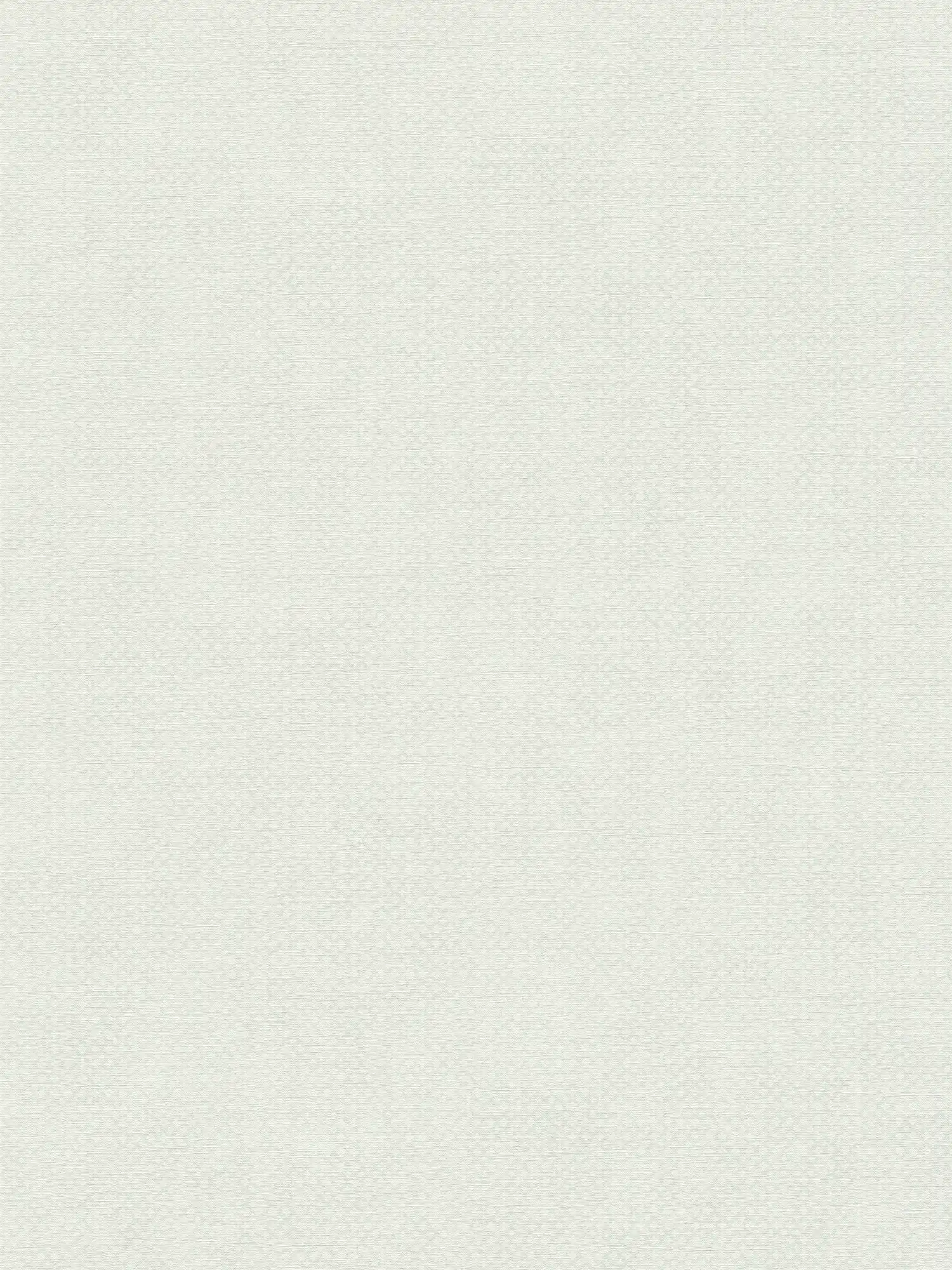 Carta da parati in tessuto non tessuto con motivo a trama fine - grigio, bianco
