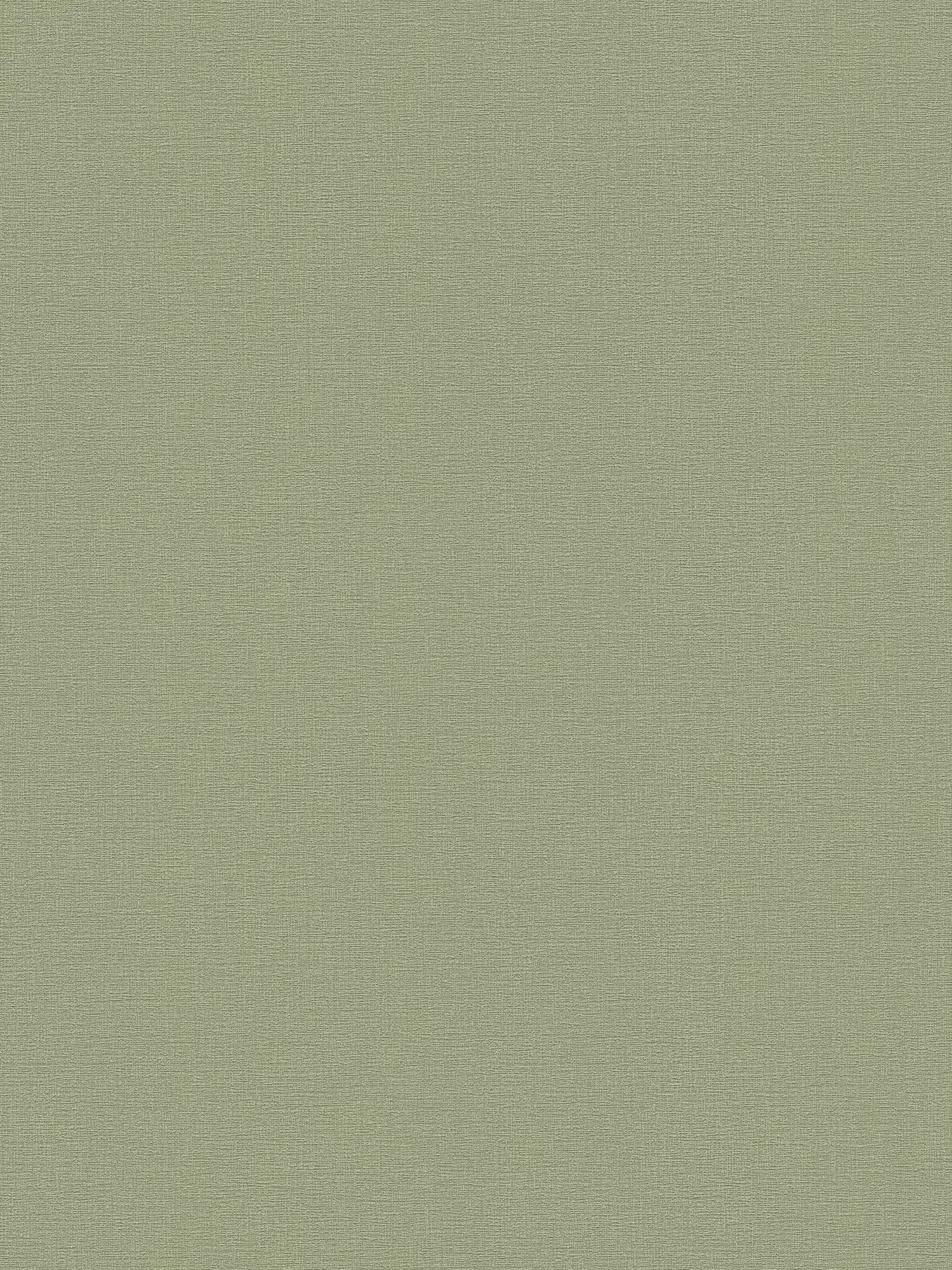 Papel Pintado Caqui Verde Eucalipto con Patrón de Textura
