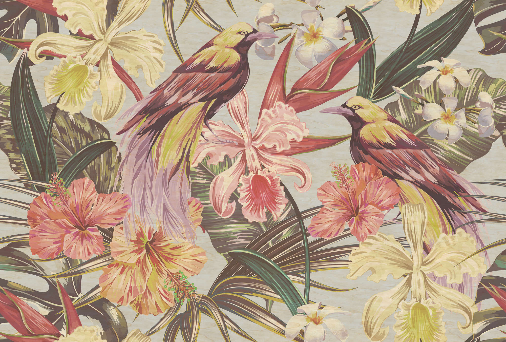             Exotische vogels 1 - Exotische vogels en bloemen behang in multiplex structuur - Beige, Roze | Pearl glad vlies
        