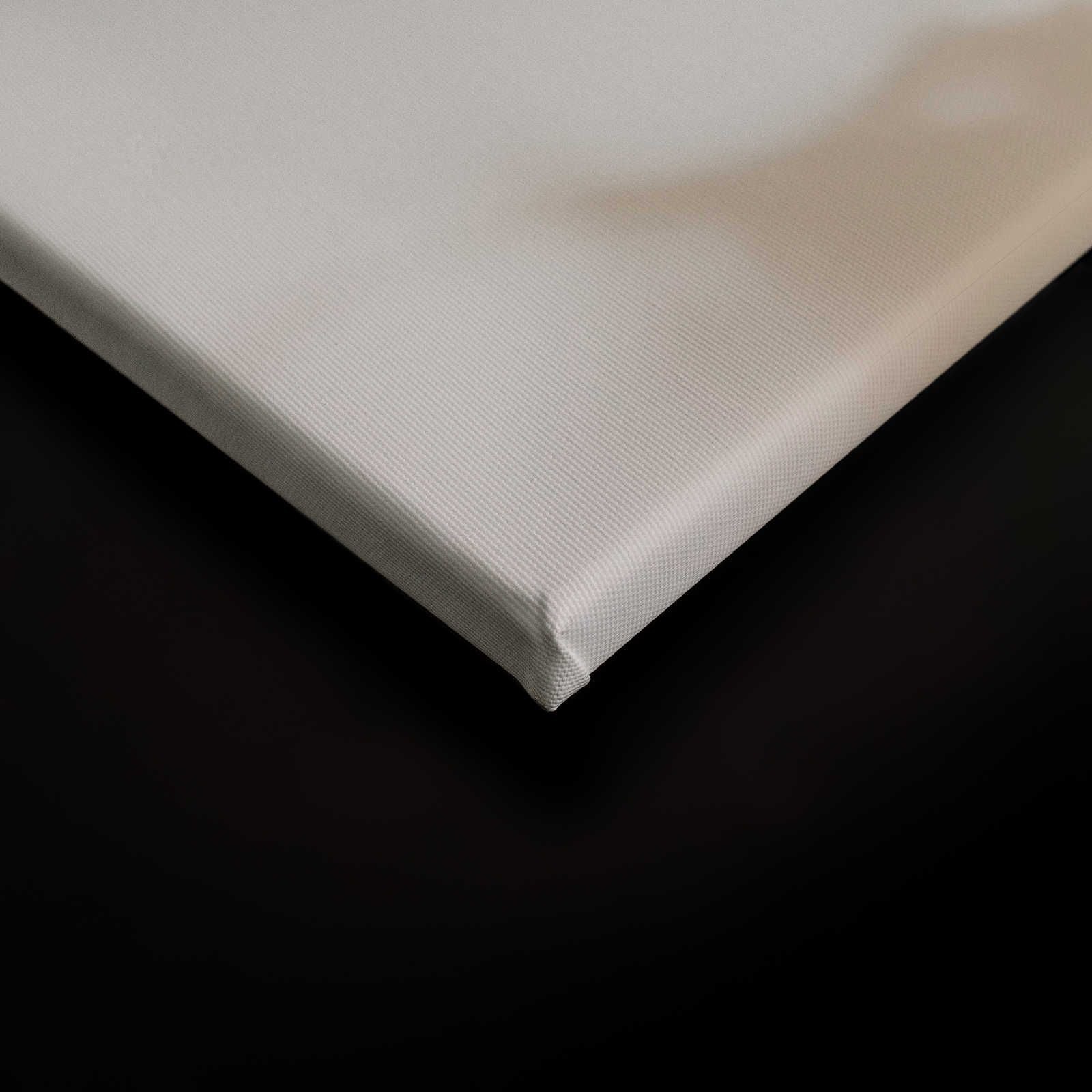             Camera chiara 3 - Quadro su tela Ombre della natura in beige e bianco - 0,90 m x 0,60 m
        