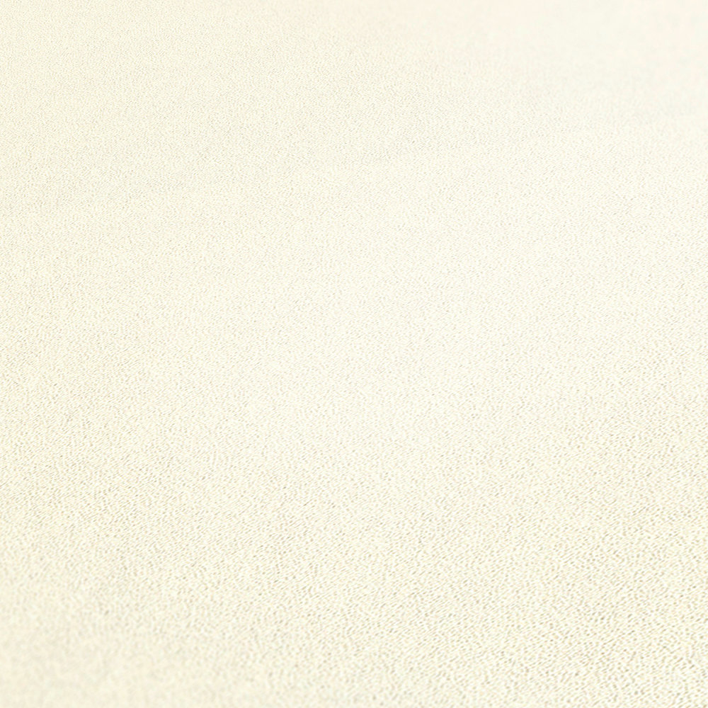             Meistervlies wallpaper white plain, smooth
        