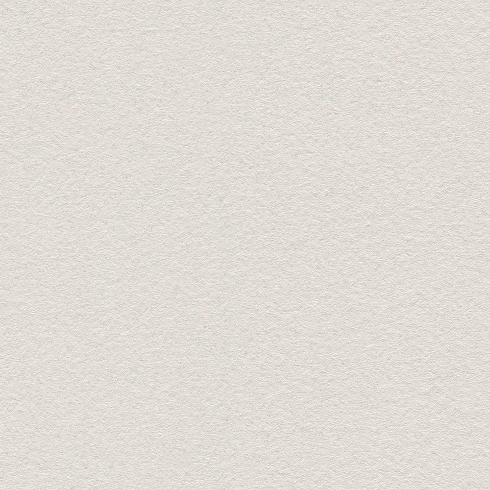             Carta da parati neutra con superficie opaca in seta - grigio
        