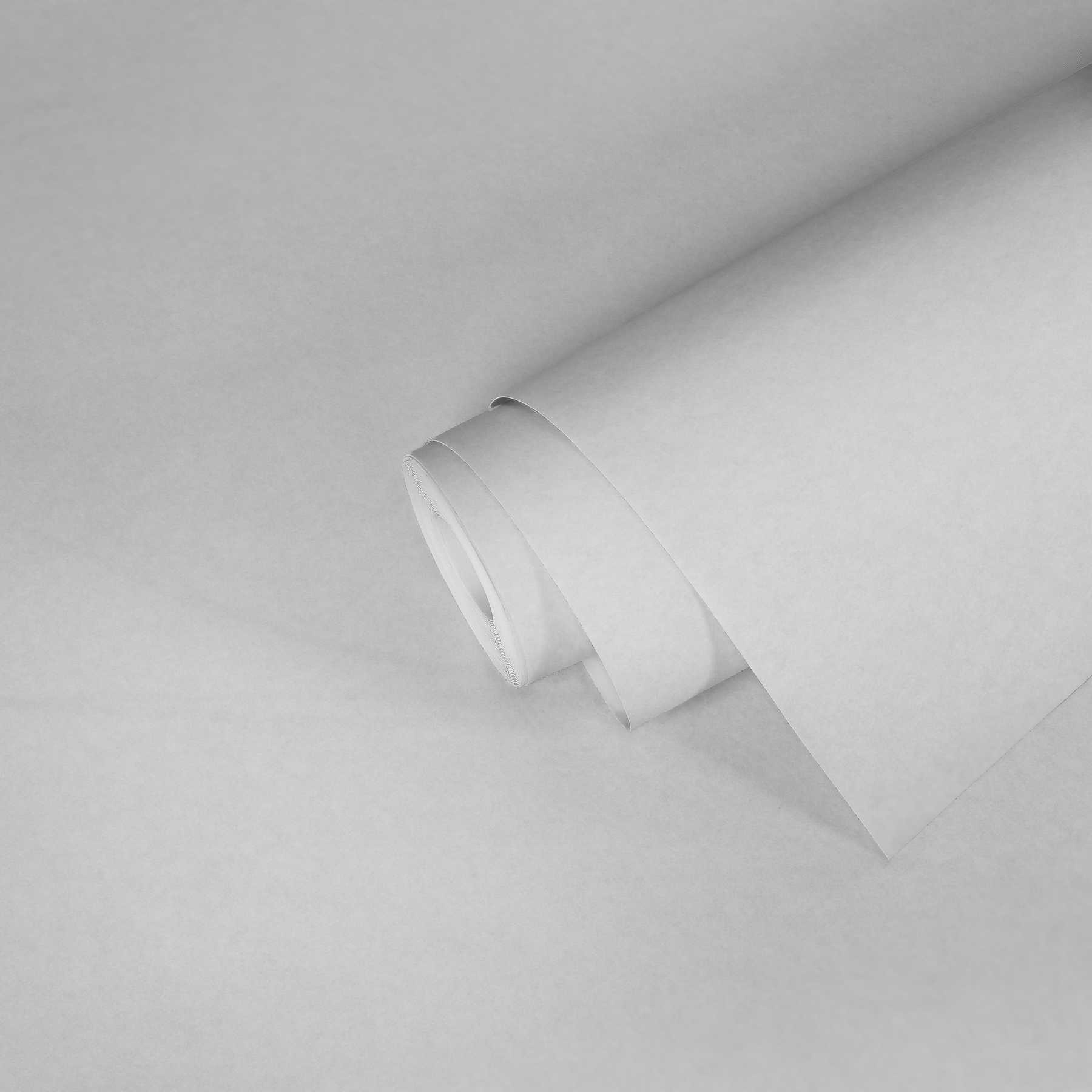             Carta da parati in tessuto non tessuto per pittori verniciabile 130g/m² | 18,75m² | 0,75 x 25m
        