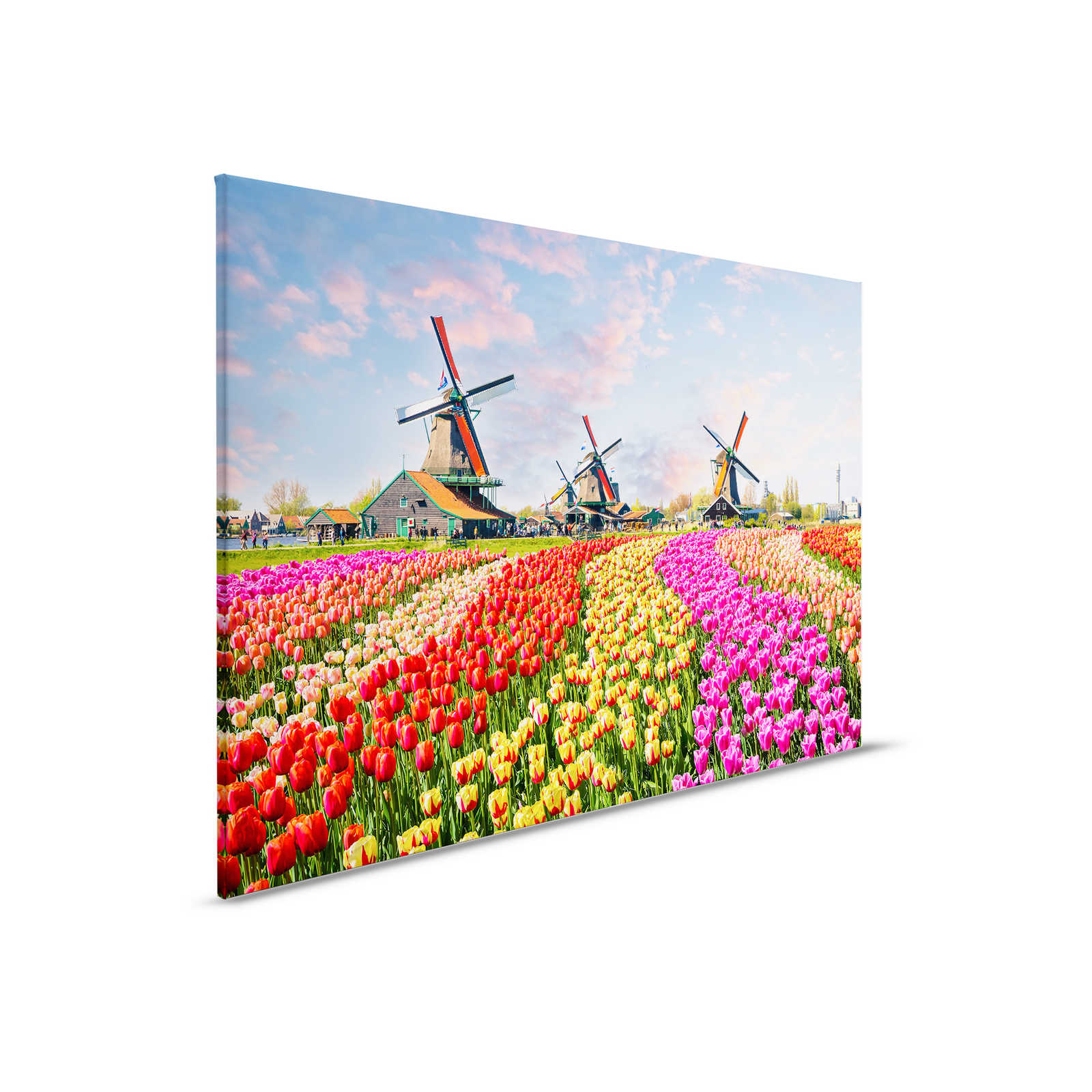 Canvas Holland Tulips & Pinwheel - 0.90 m x 0.60 m
