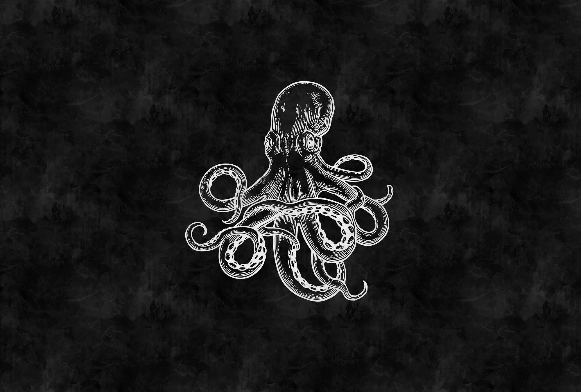             Black and white photo wallpaper octopus & blackboard look
        