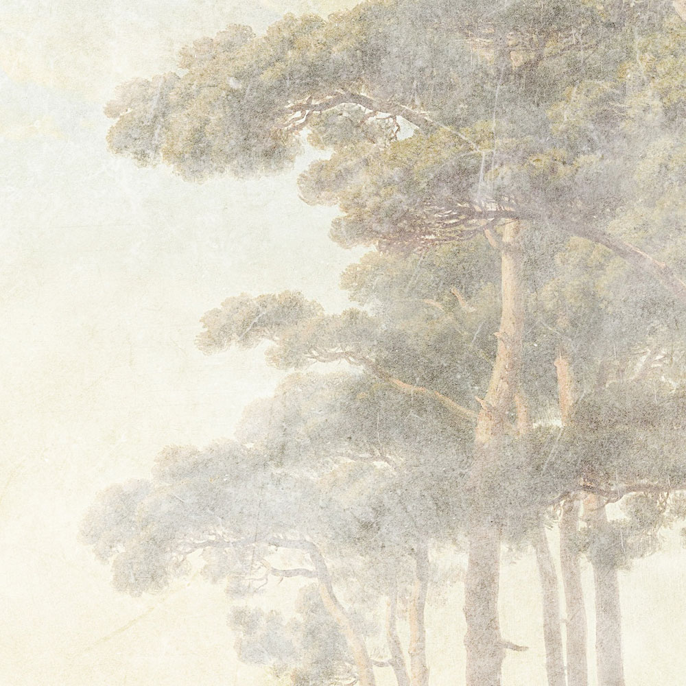             Romantic Grove 1 - Papier peint panoramique délavé aspect usé
        