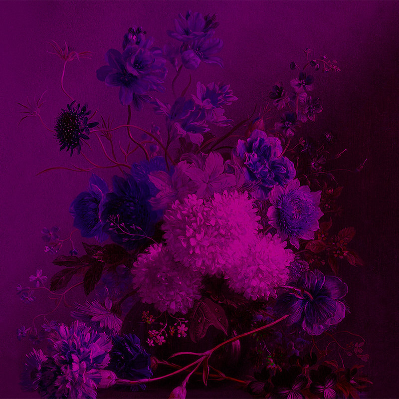 Carta da parati neon con natura morta di fiori - Viola, Rosa
