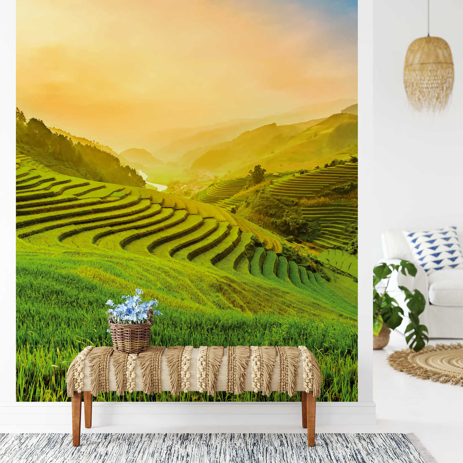             Papier peint panoramique Vietnam Riz en terrasse au soleil
        