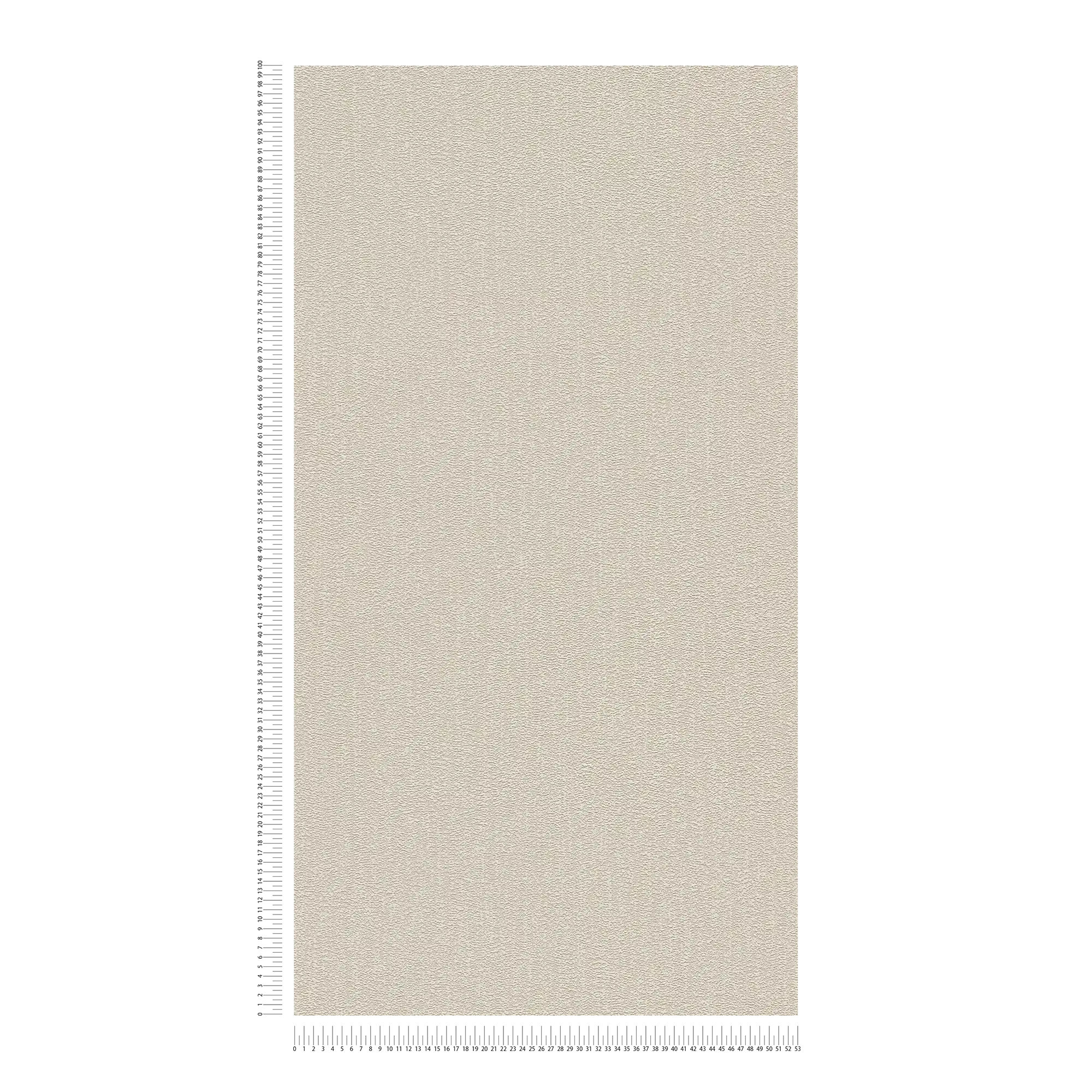             Carta da parati a tinta unita con struttura leggermente lucida - beige, grigio, argento
        