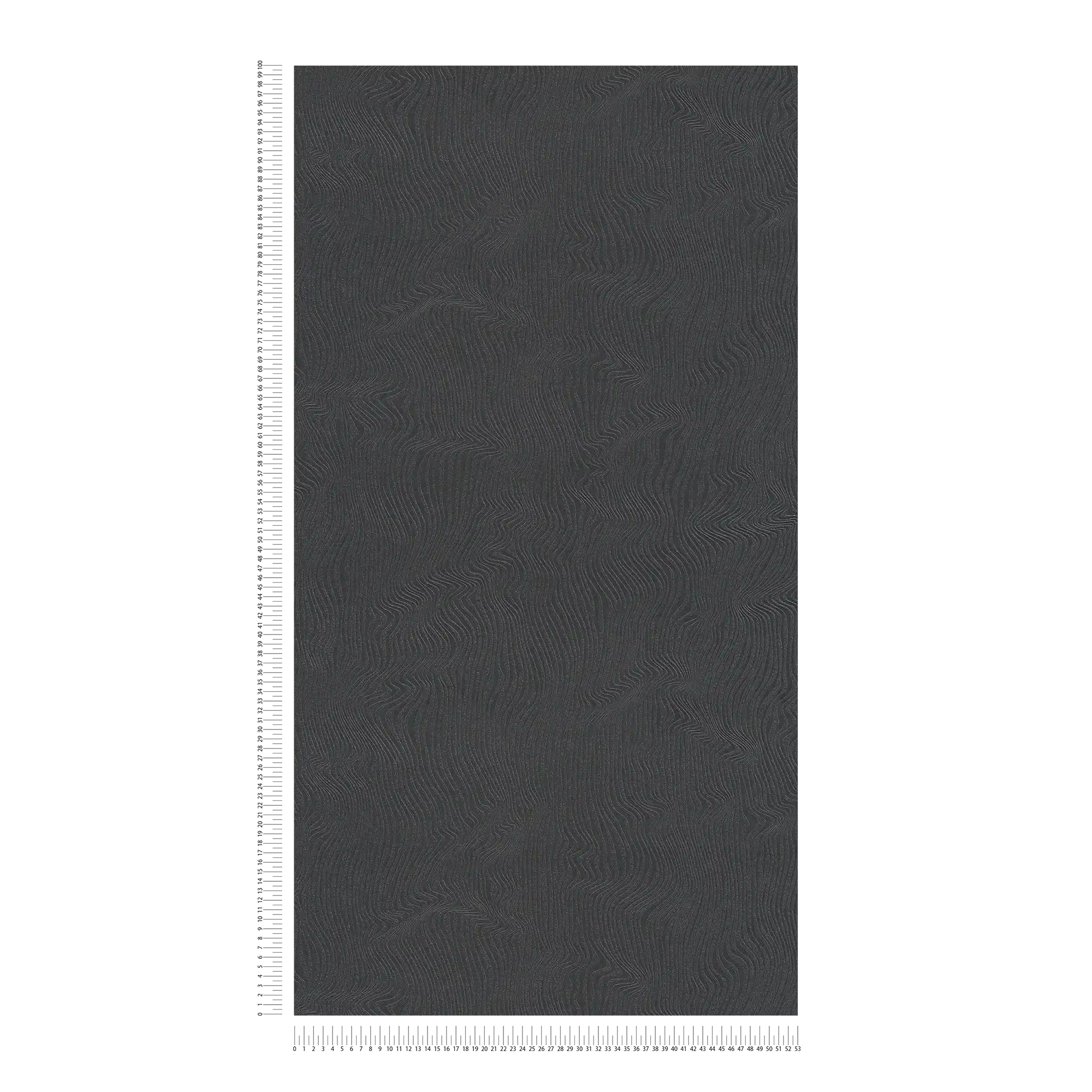             Effen behang met bewegend lijnenspel - zwart
        