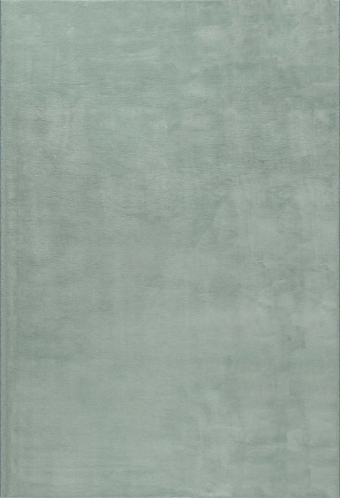             Soft high pile carpet in soft green - 170 x 120 cm
        