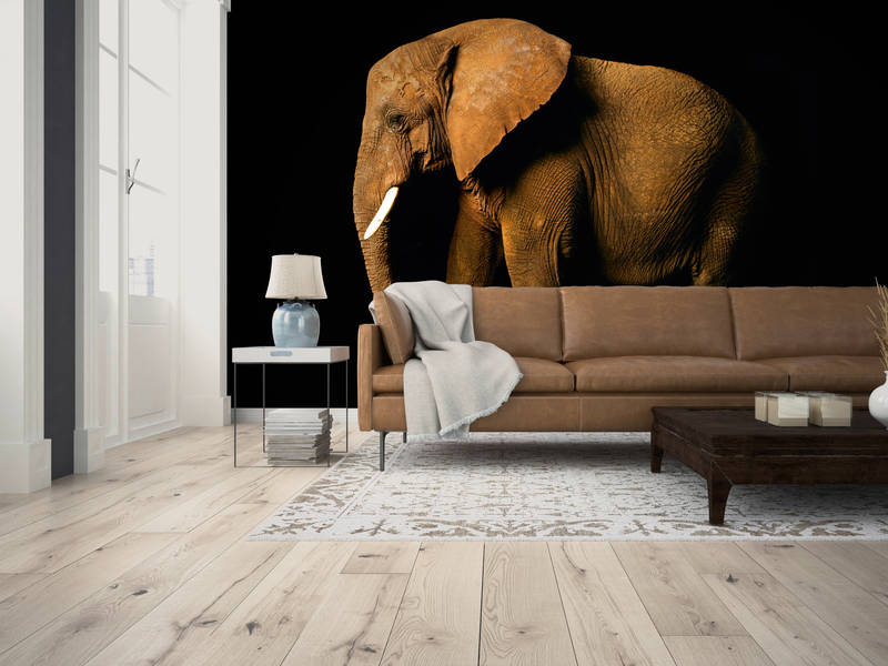             Elephant - animal portrait mural
        