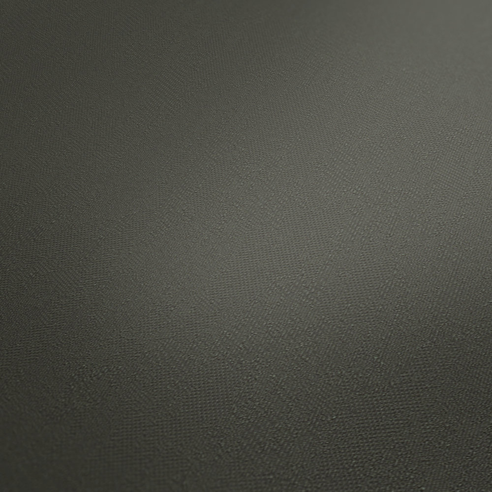             Papel pintado no tejido liso caqui oscuro, satinado - gris
        
