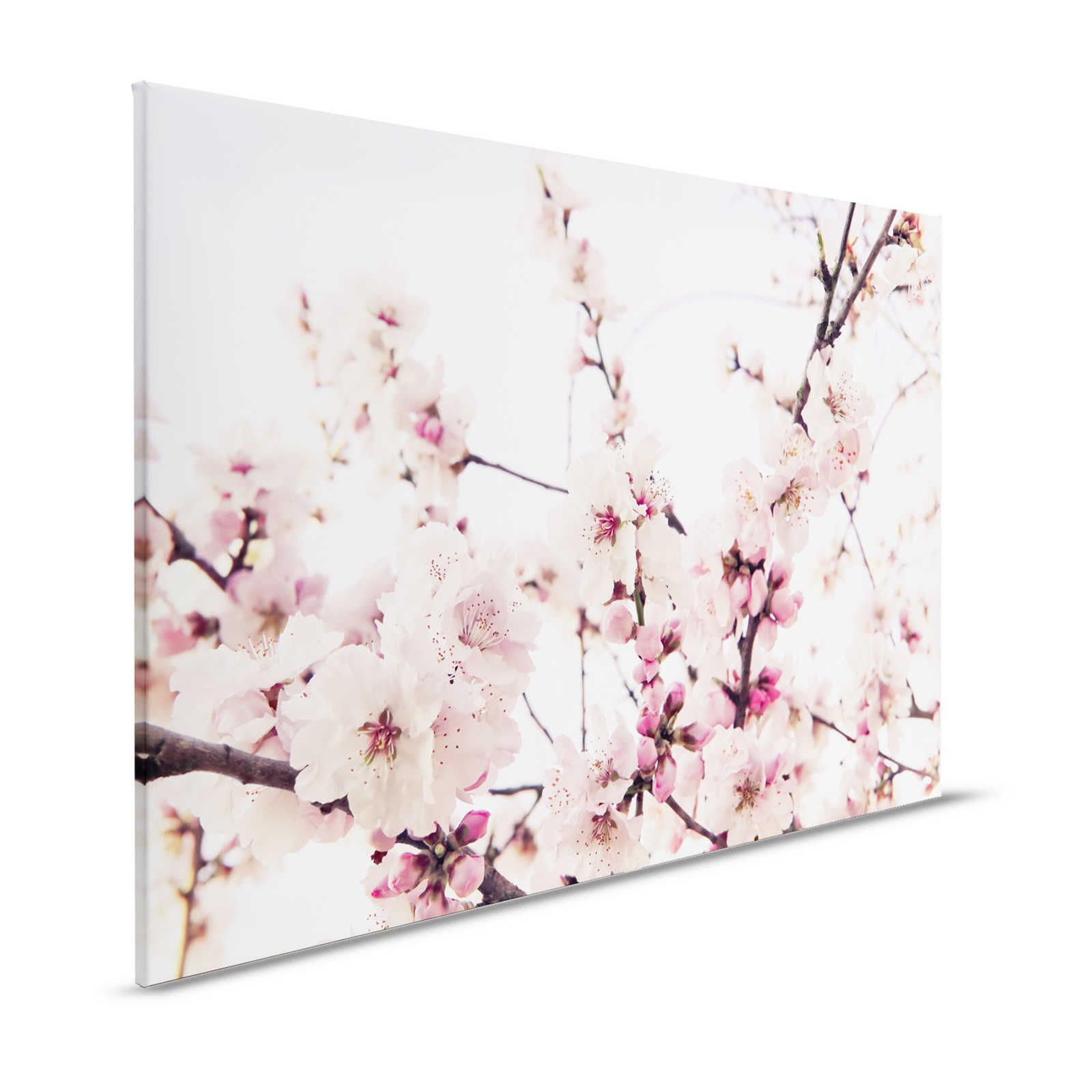 Naturel toile avec des fleurs de cerisier - 1,20 m x 0,80 m
