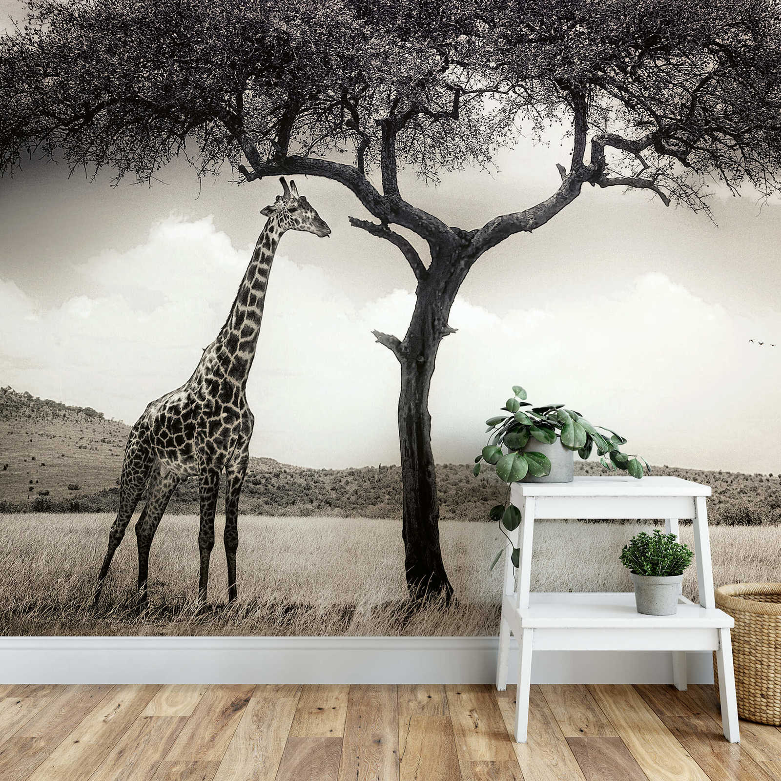             Safari Dieren Giraffe Behang - Grijs, Wit, Zwart
        