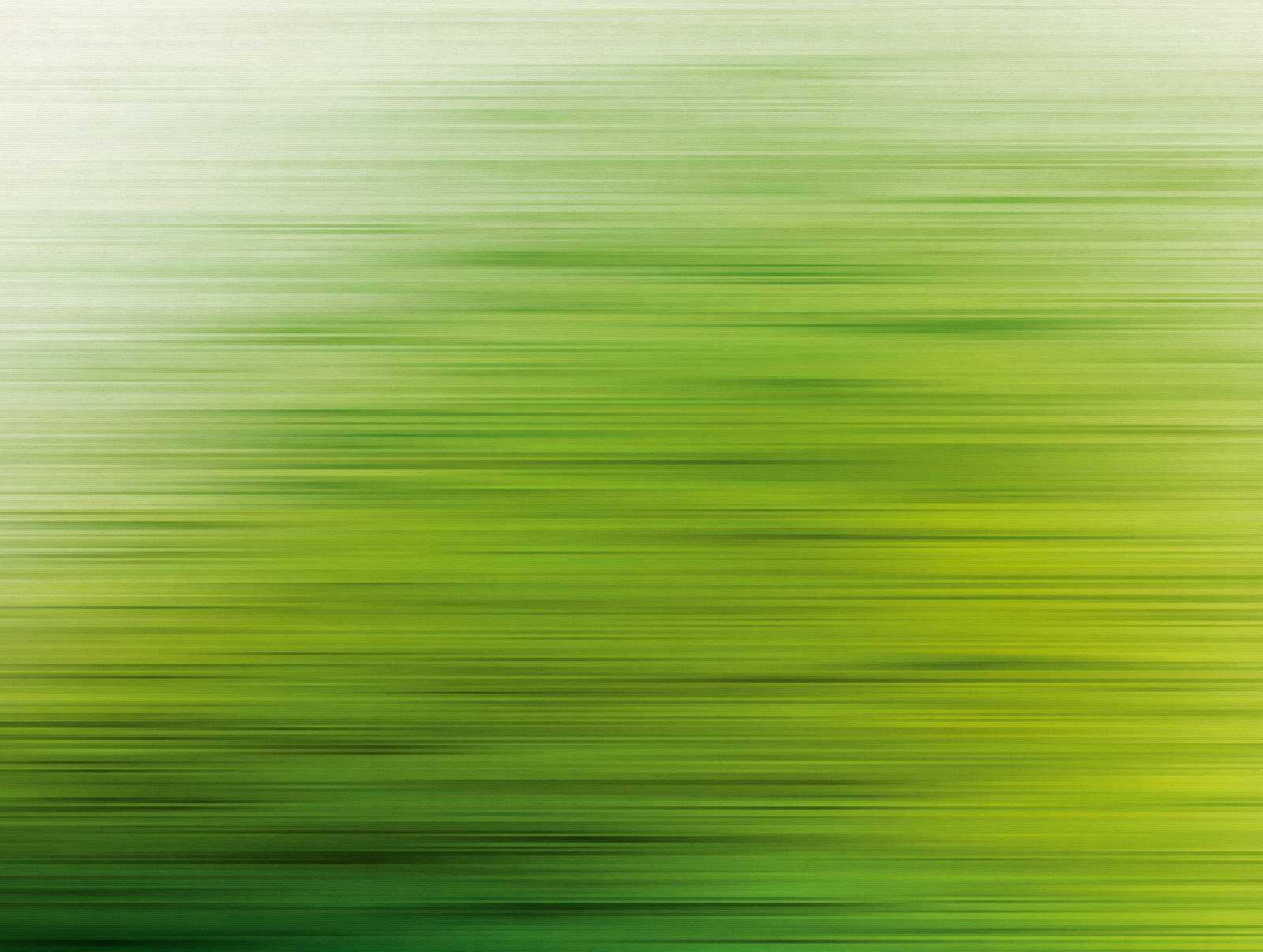             Wallpaper novelty - green motif wallpaper with gradient design
        