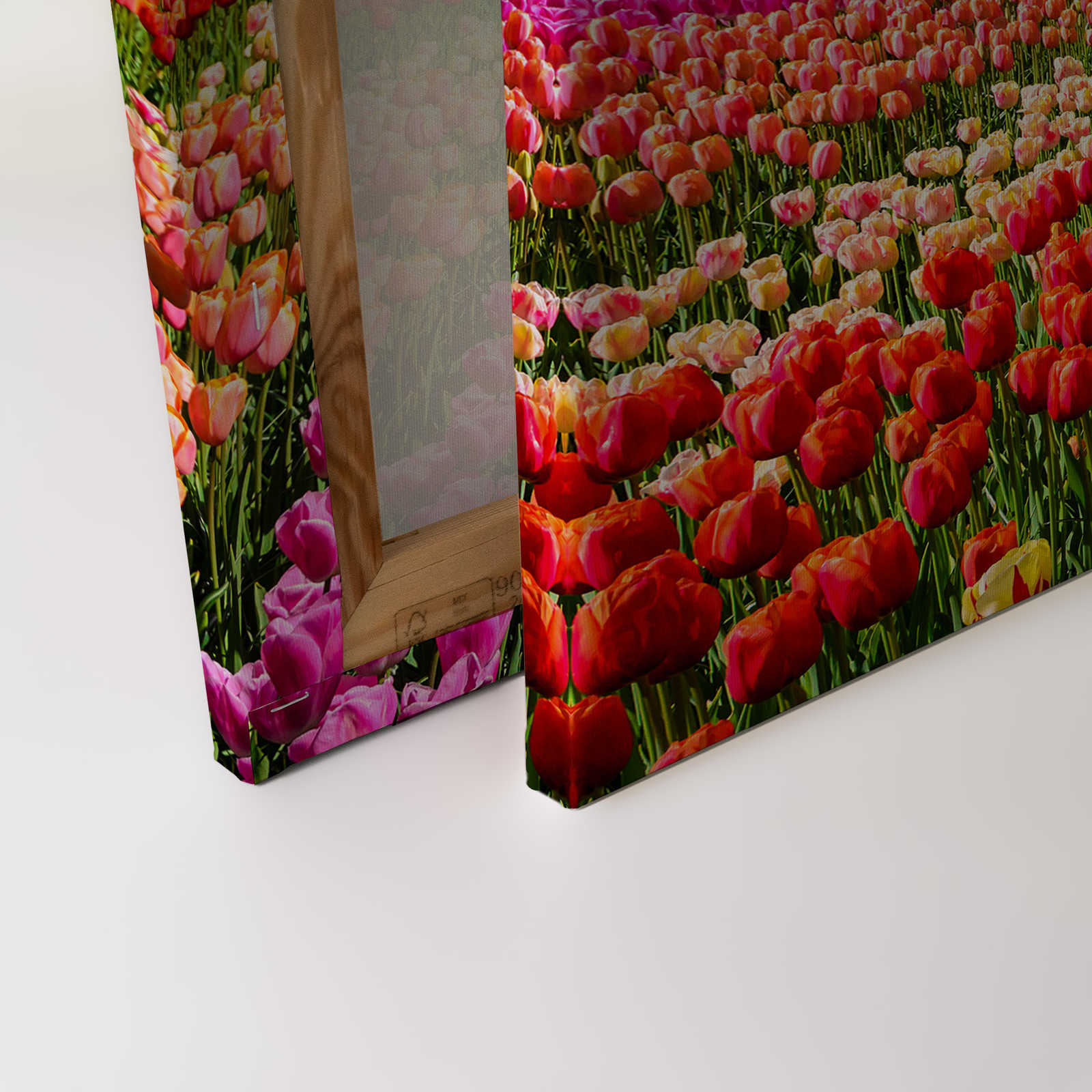             Canvas Holland Tulips & Pinwheel - 0.90 m x 0.60 m
        