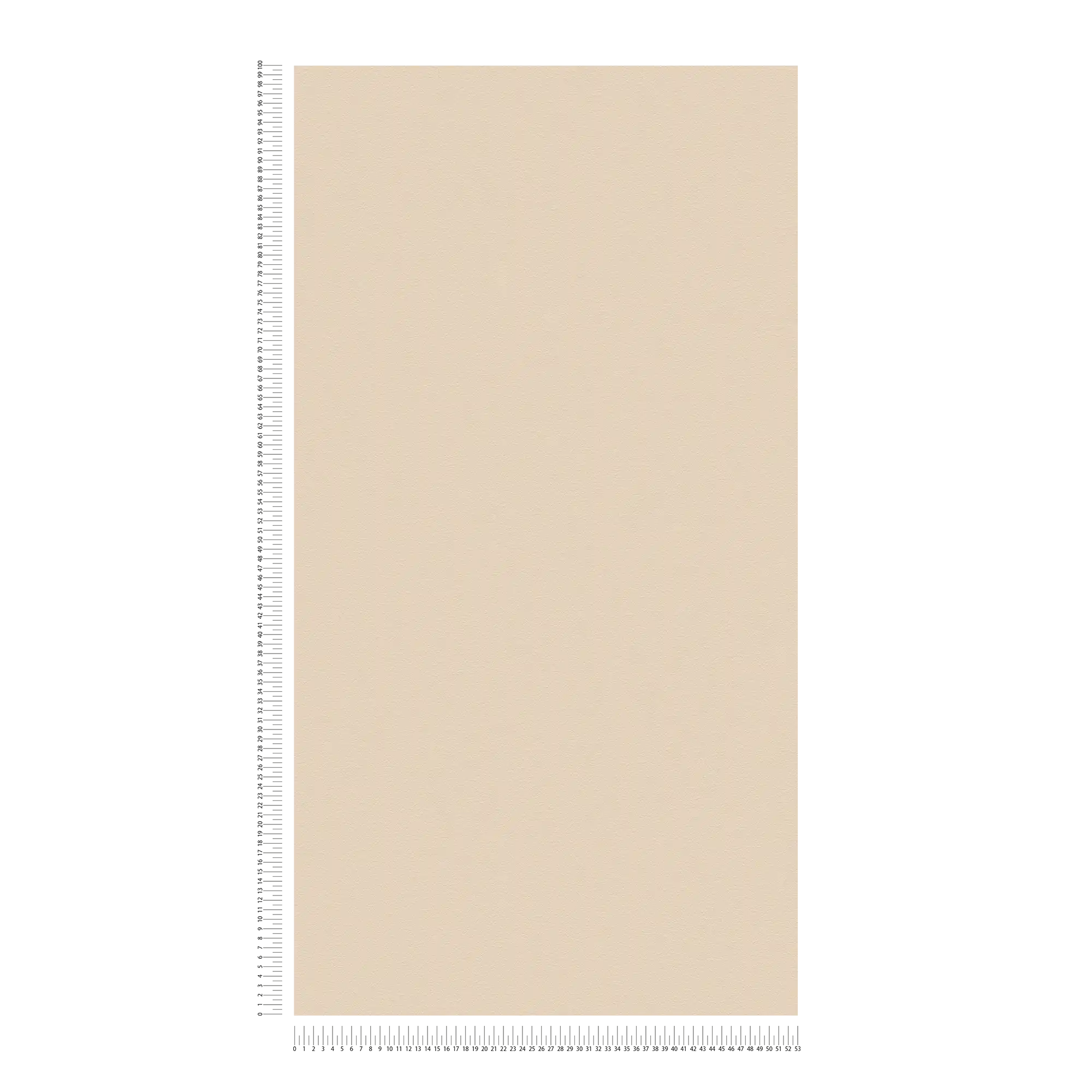             papier peint beige uni avec peau d'éléphant structure mousse
        
