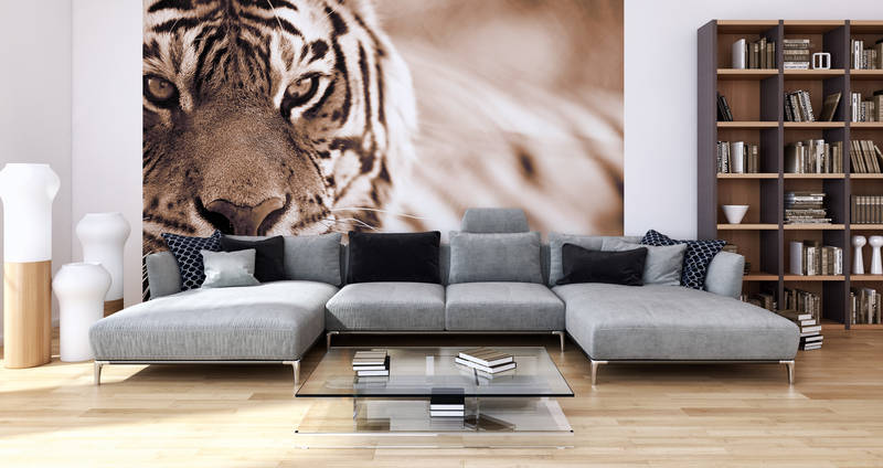             Papier peint panoramique tigre gros plan en extérieur sur intissé lisse mat
        