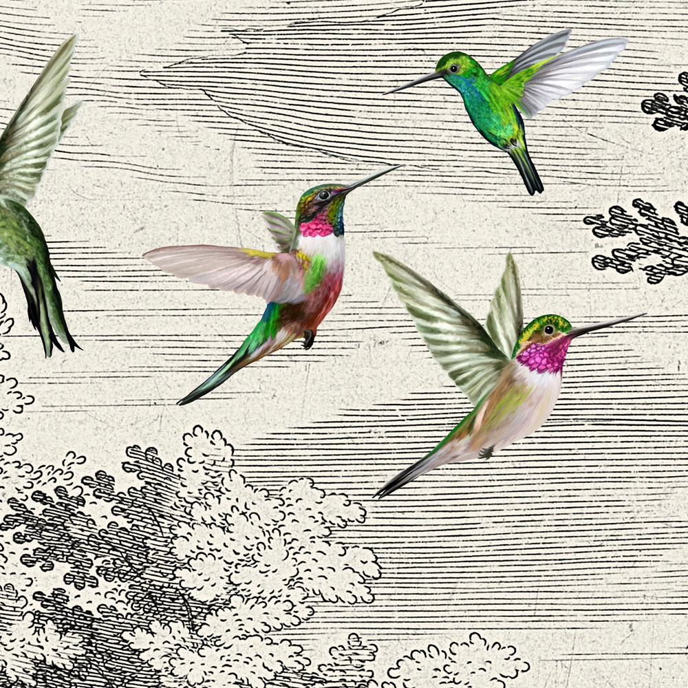             Fancy Forest 1 - Paysage papier peint avec des oiseaux
        