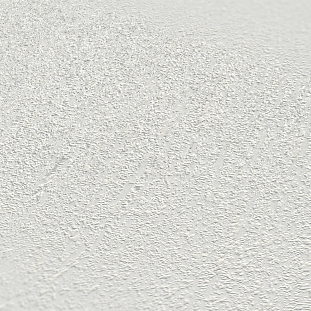             Plaster look wallpaper paintable master fleece - white
        