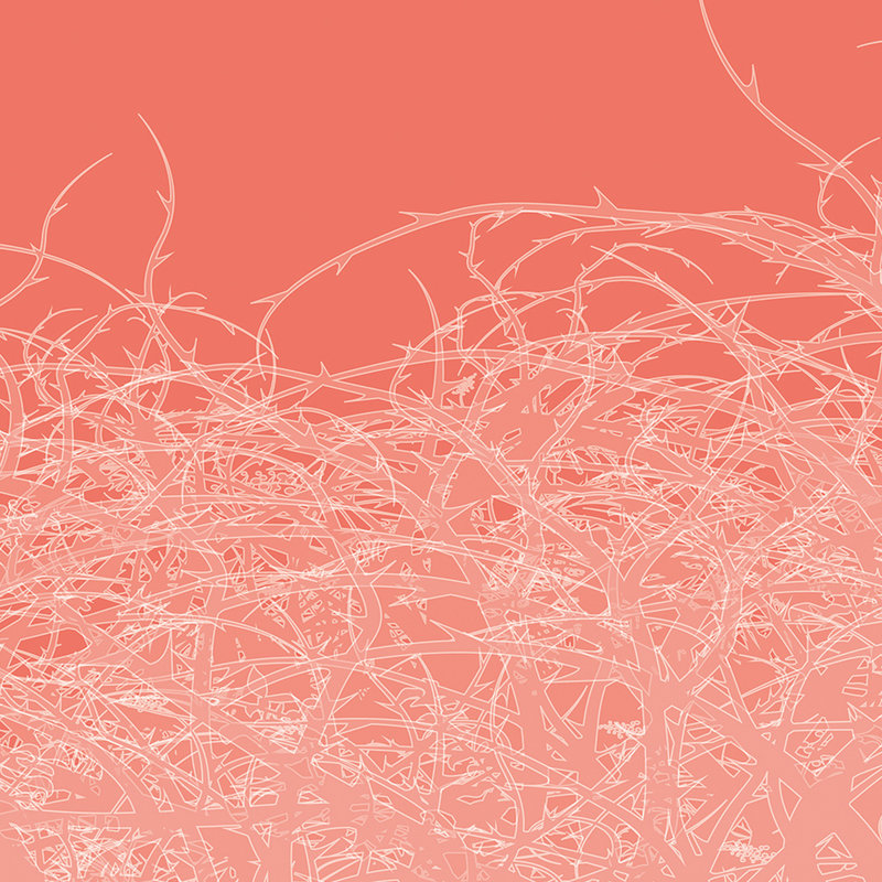 Graphic Design Thorny Vines Behang - Roze, Wit, Rood
