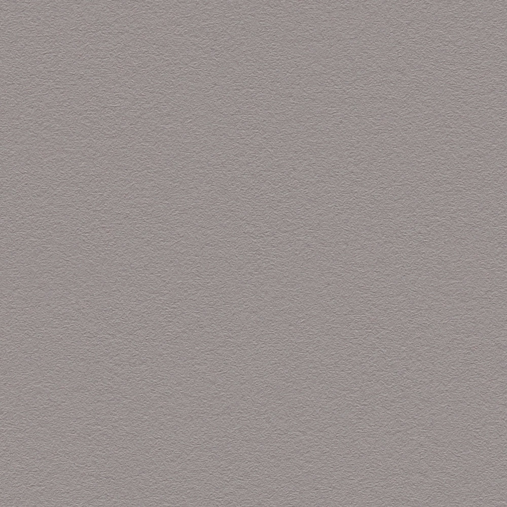             Non-woven wallpaper dark grey with smooth surface - grey
        